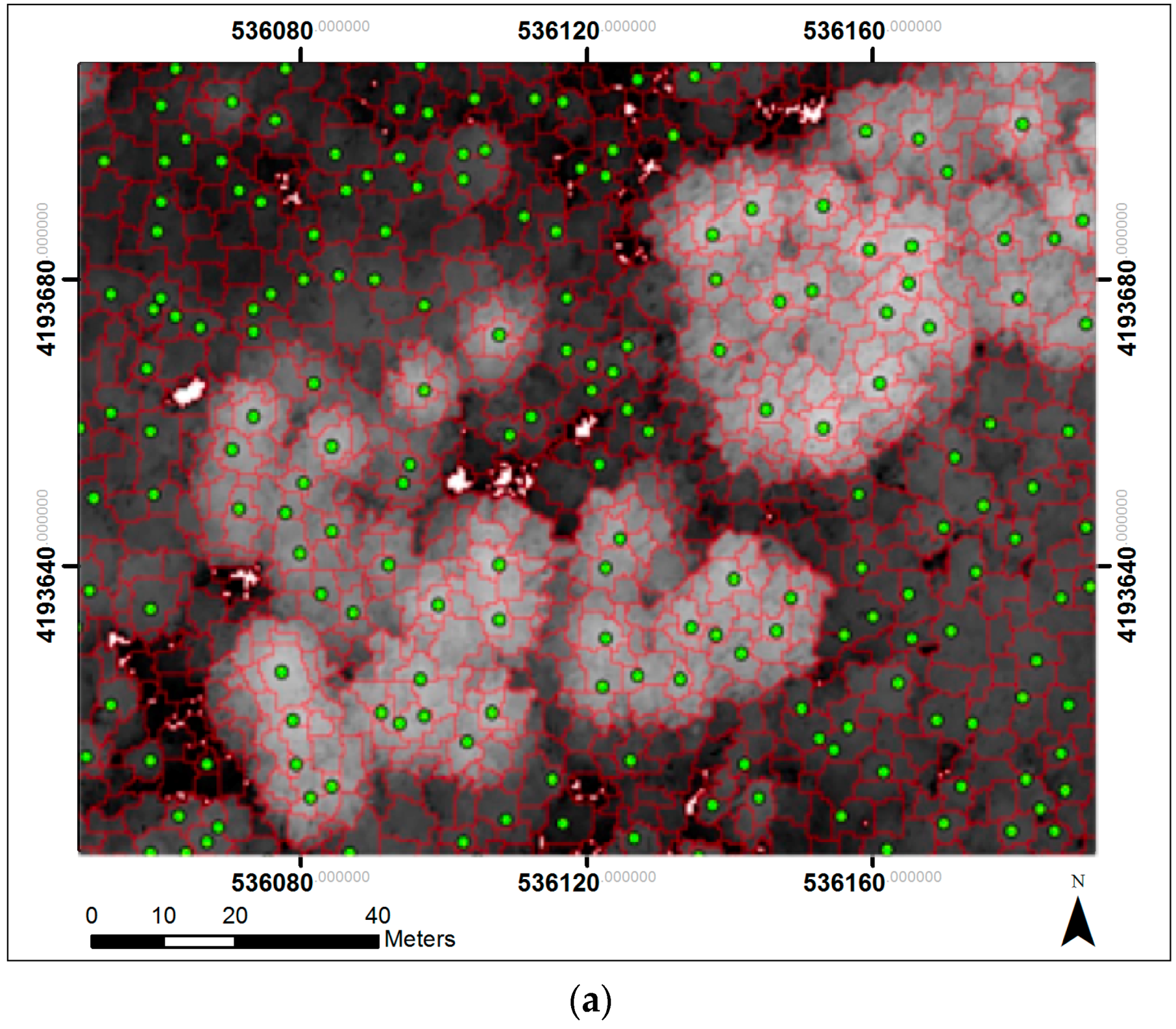 Remotesensing 08 00445 g002a