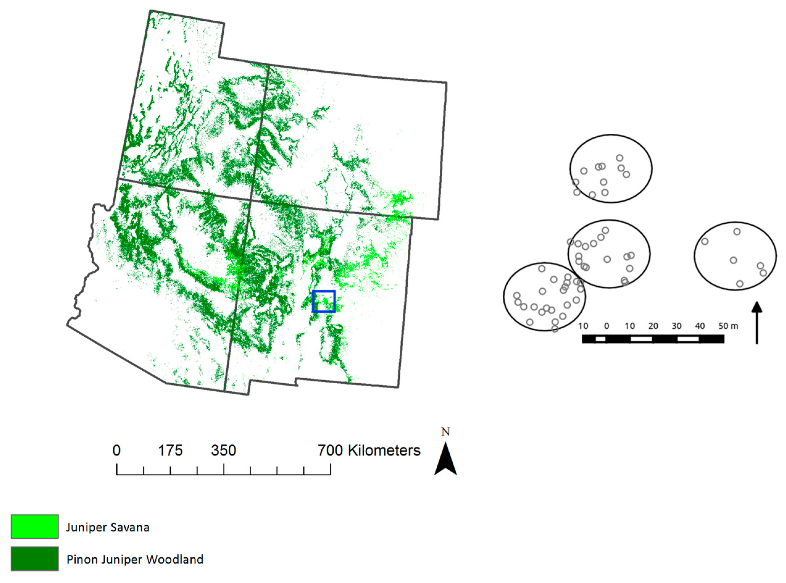 Remotesensing 08 00453 g001 1024