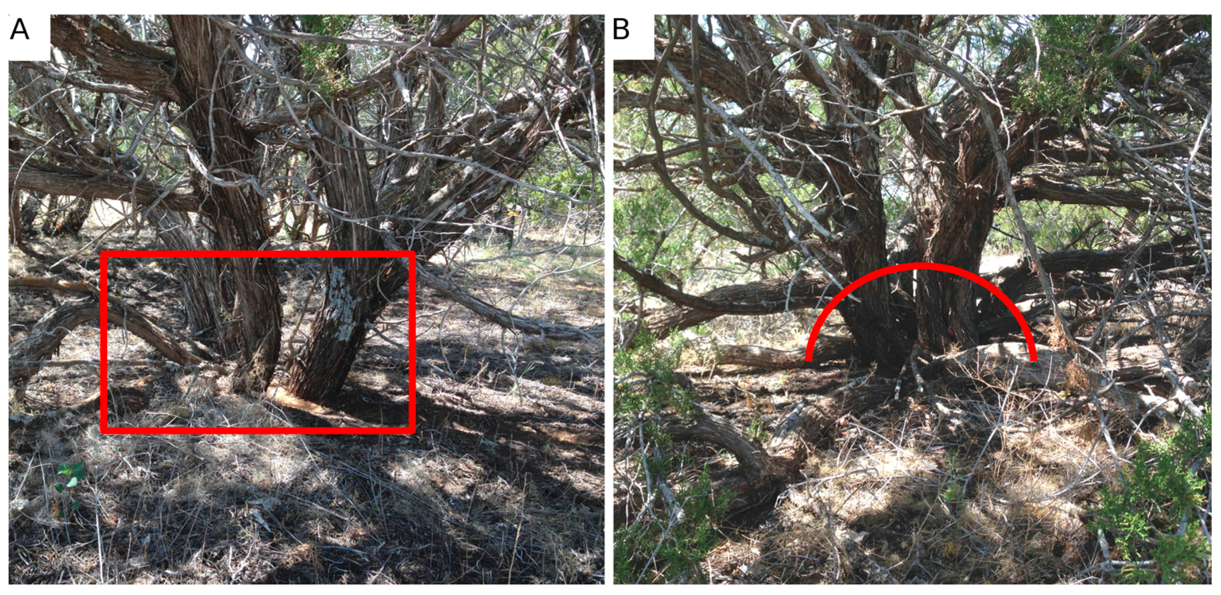 Remotesensing 08 00453 g002 1024