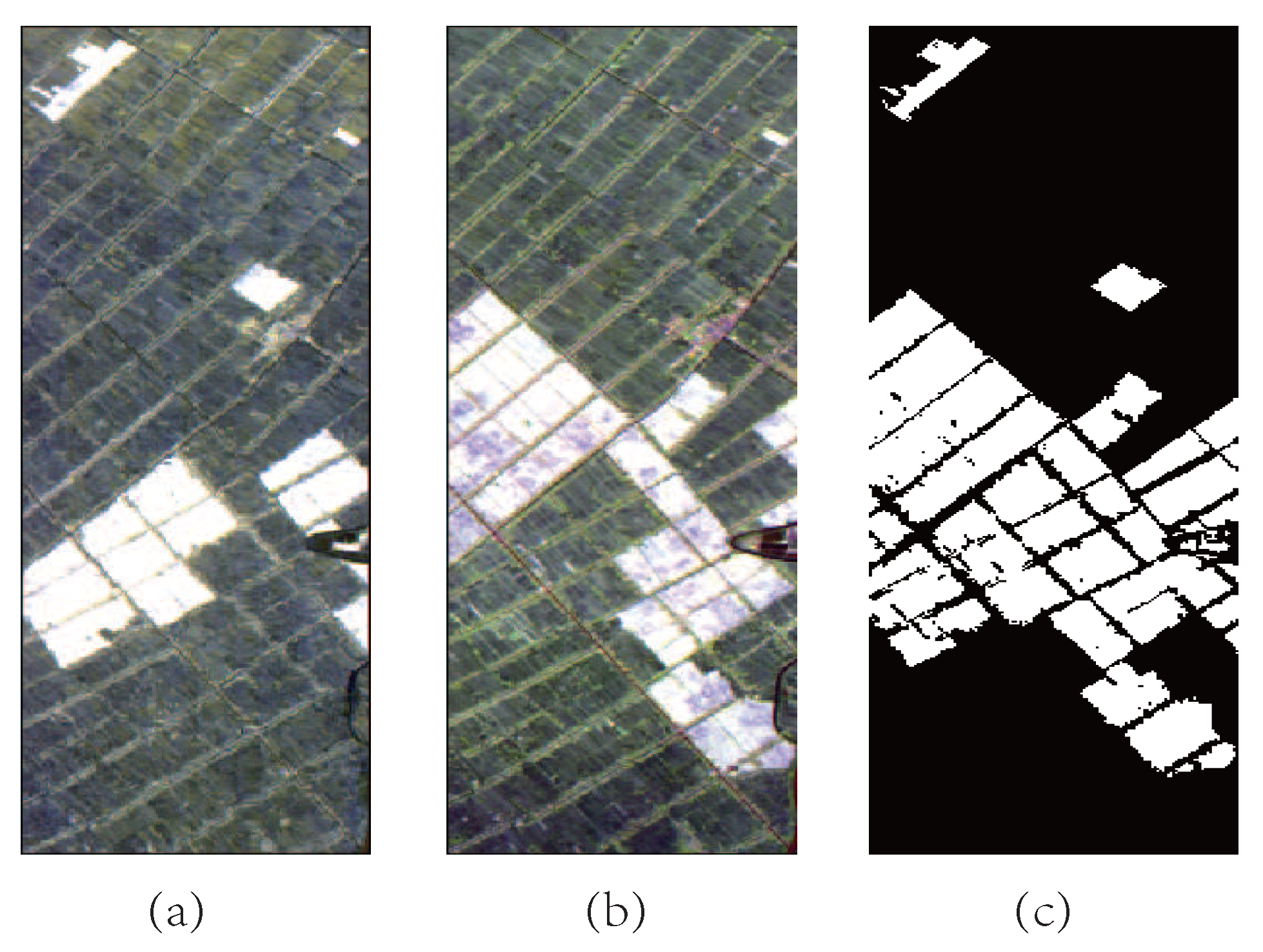 Remotesensing 08 00506 g003