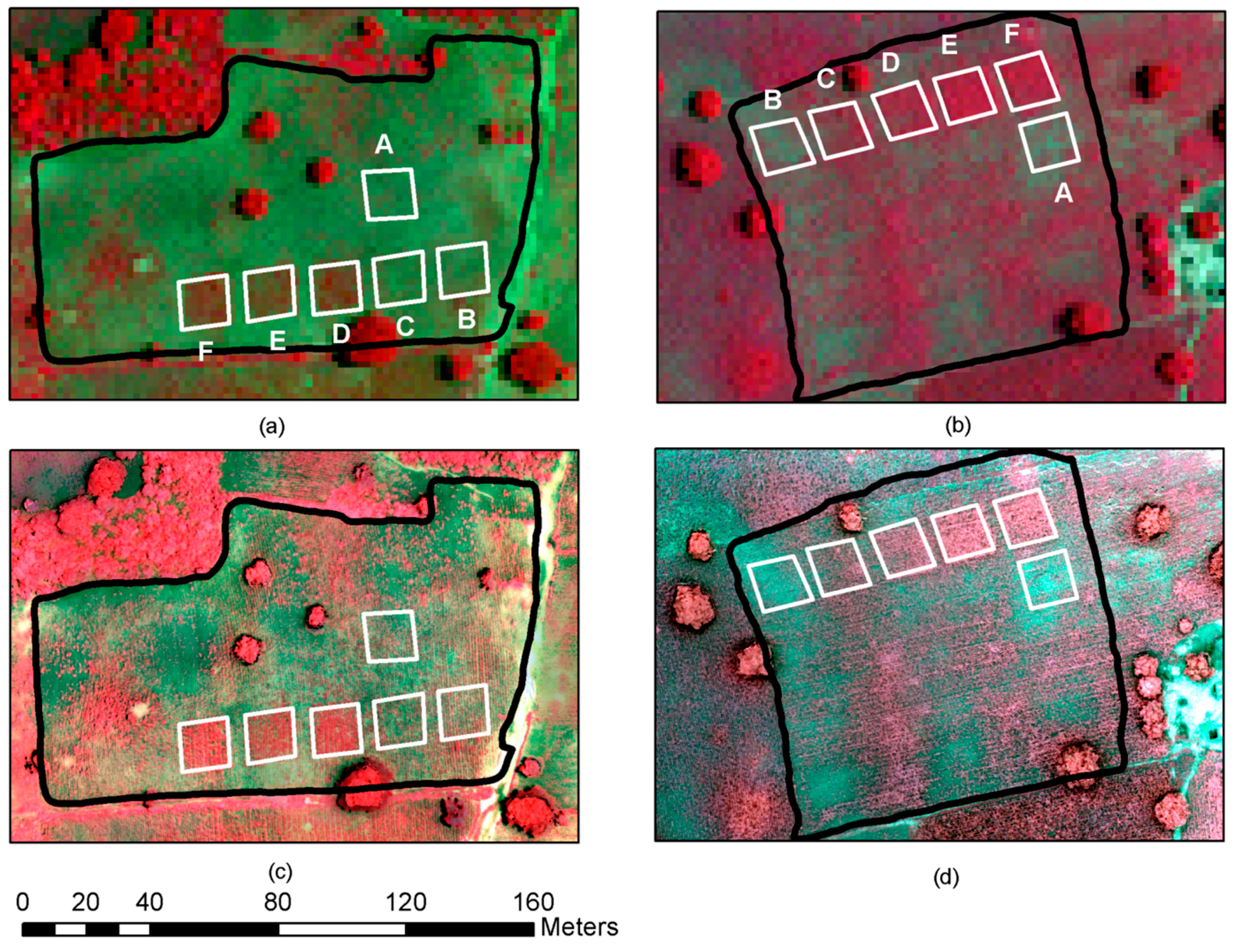Remotesensing 08 00531 g004 1024