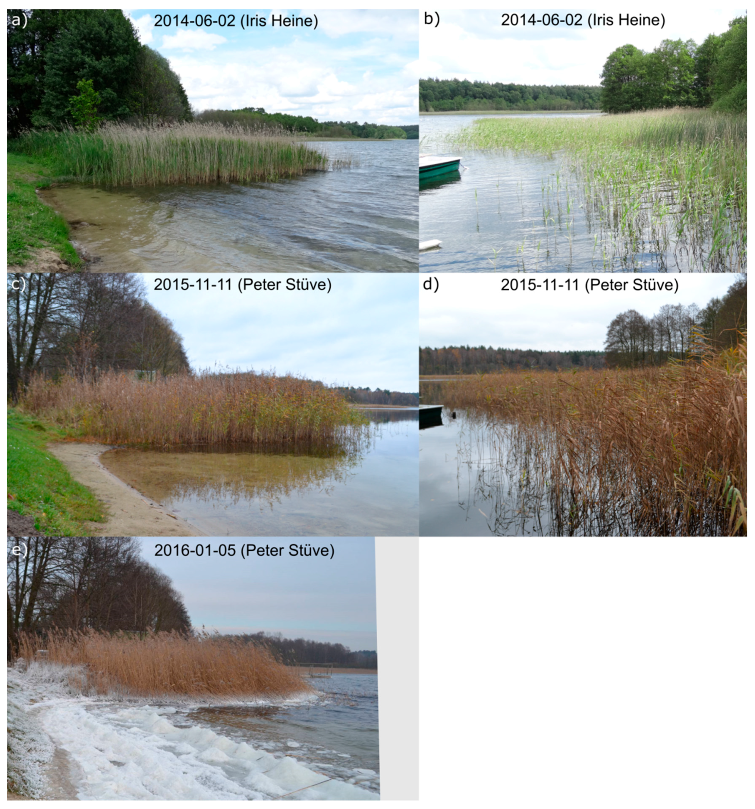 Remotesensing 08 00552 g003