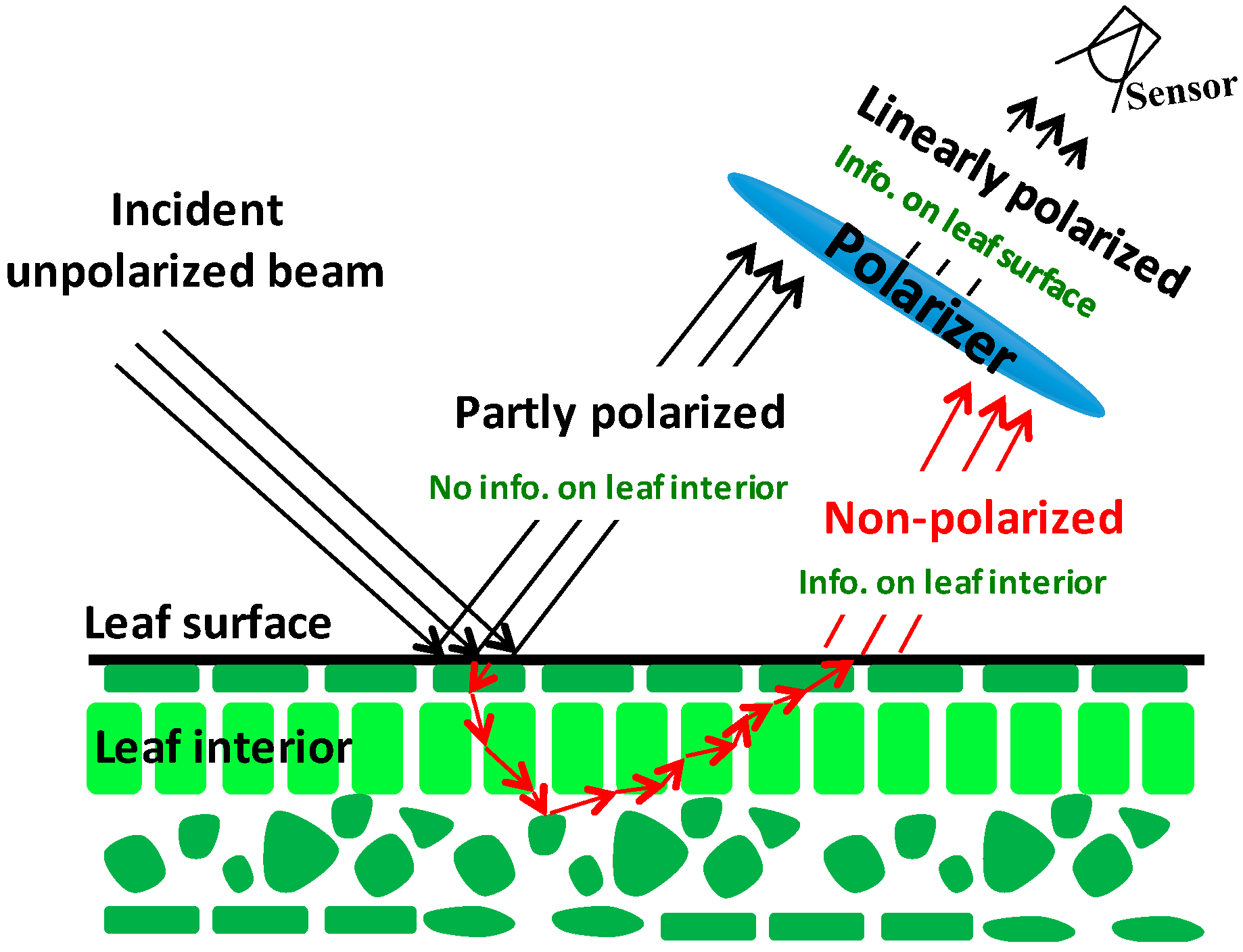 Remotesensing 08 00563 g001 1024