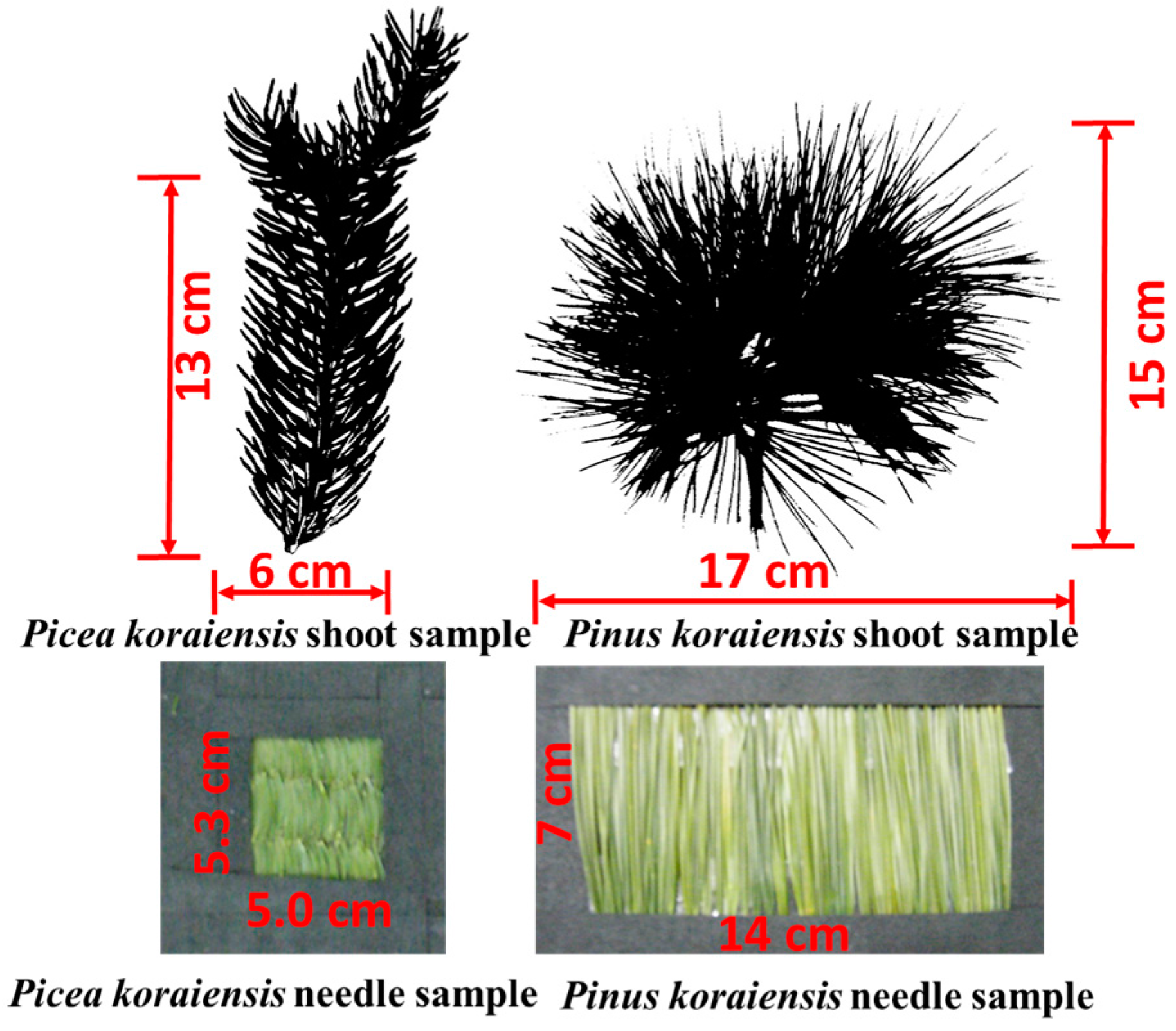 Remotesensing 08 00563 g002 1024