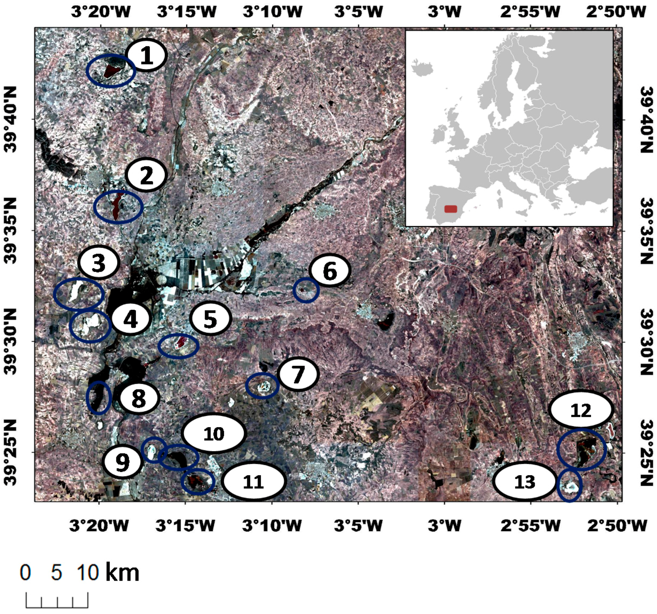 Remotesensing 08 00618 g001