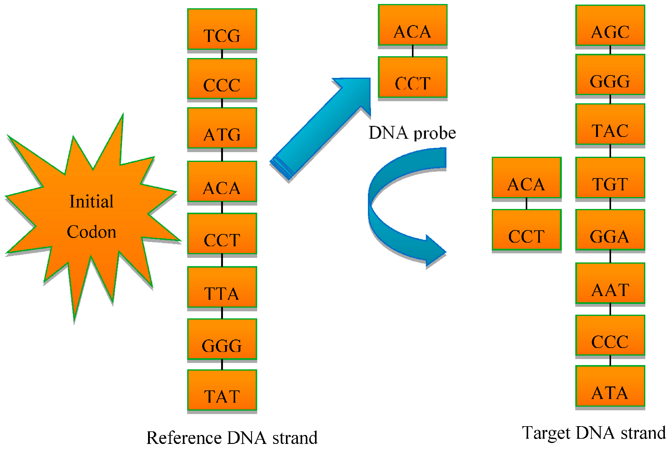 Remotesensing 08 00645 g004
