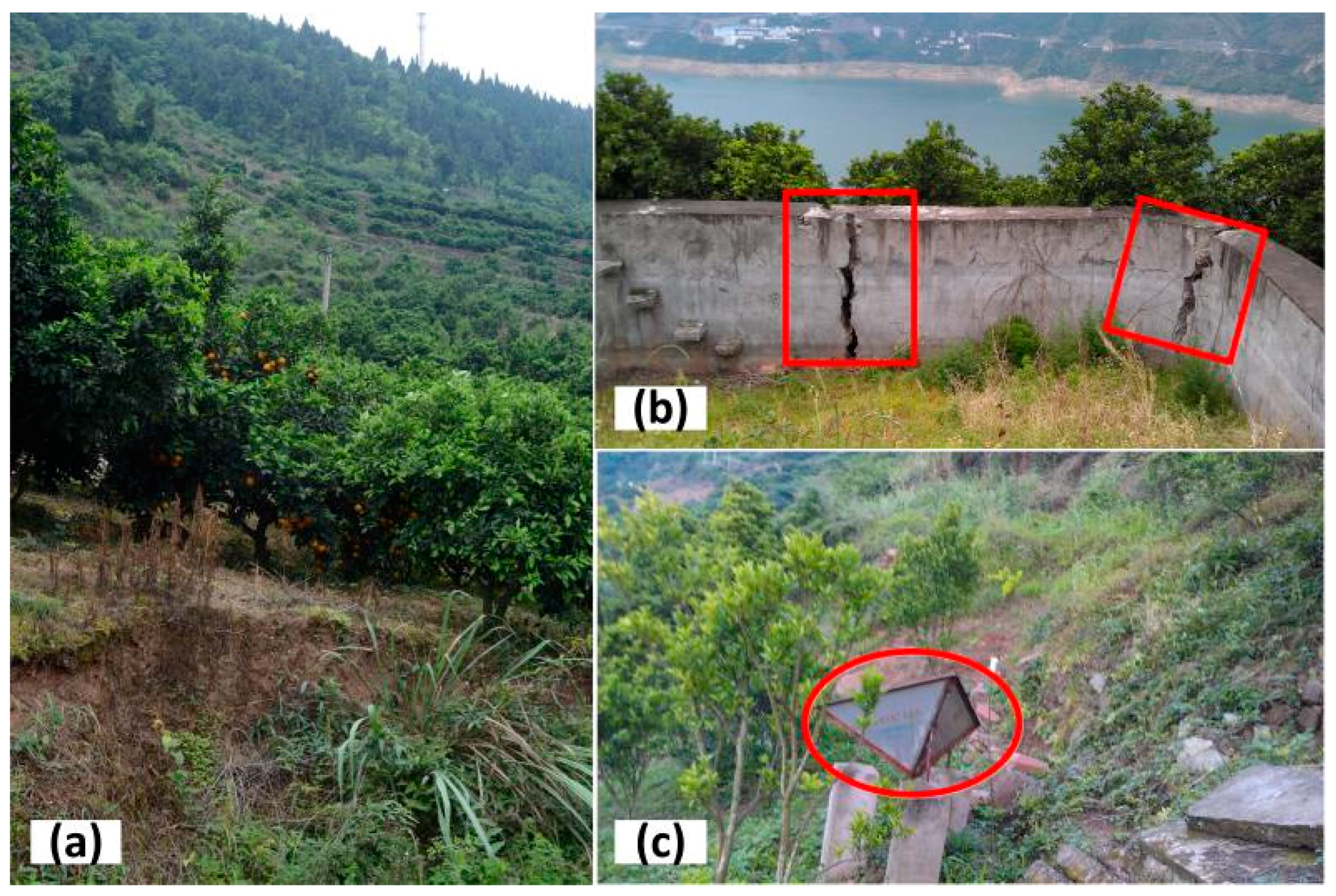 Remotesensing 08 00659 g002