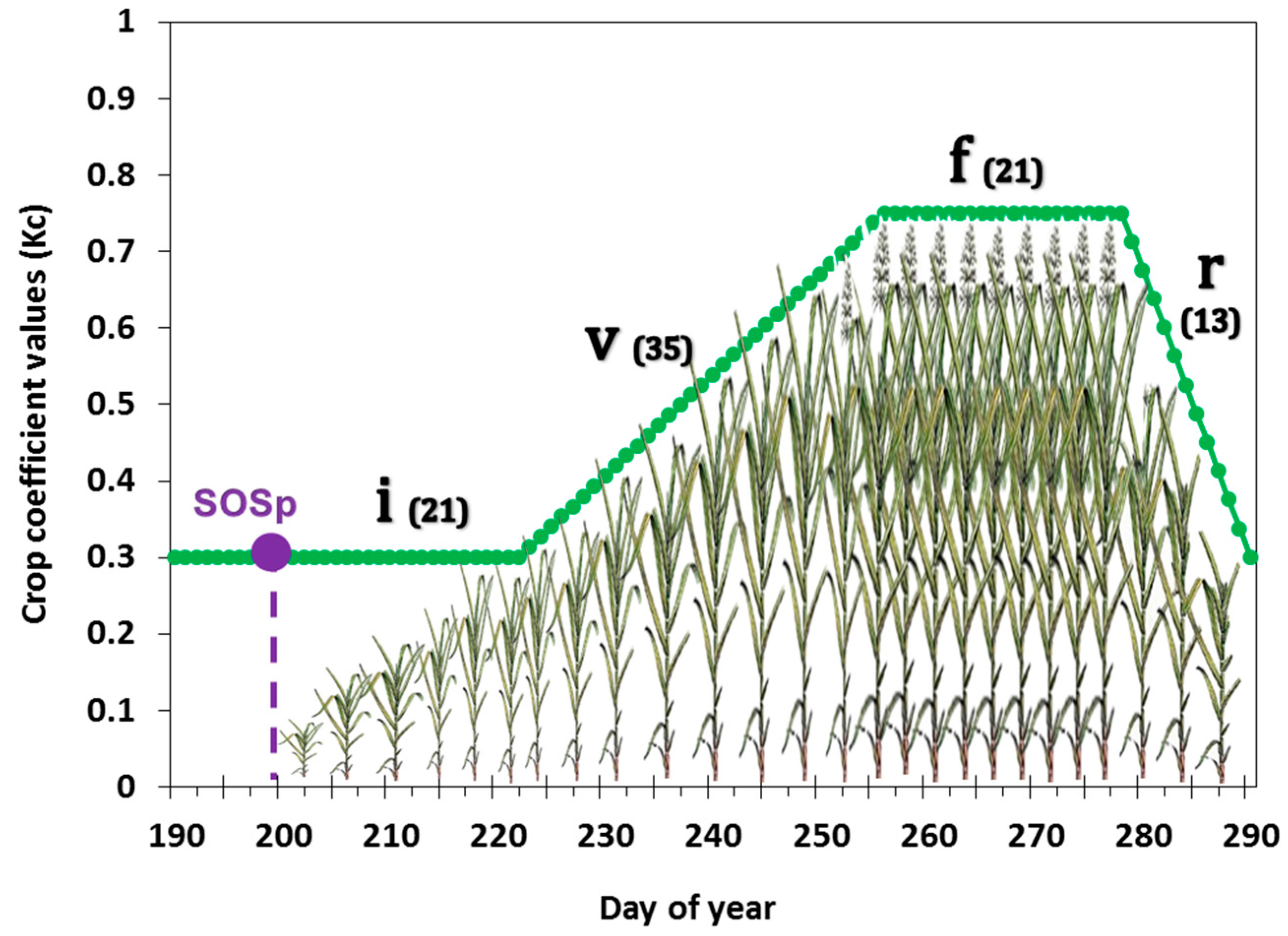 Remotesensing 08 00668 g003