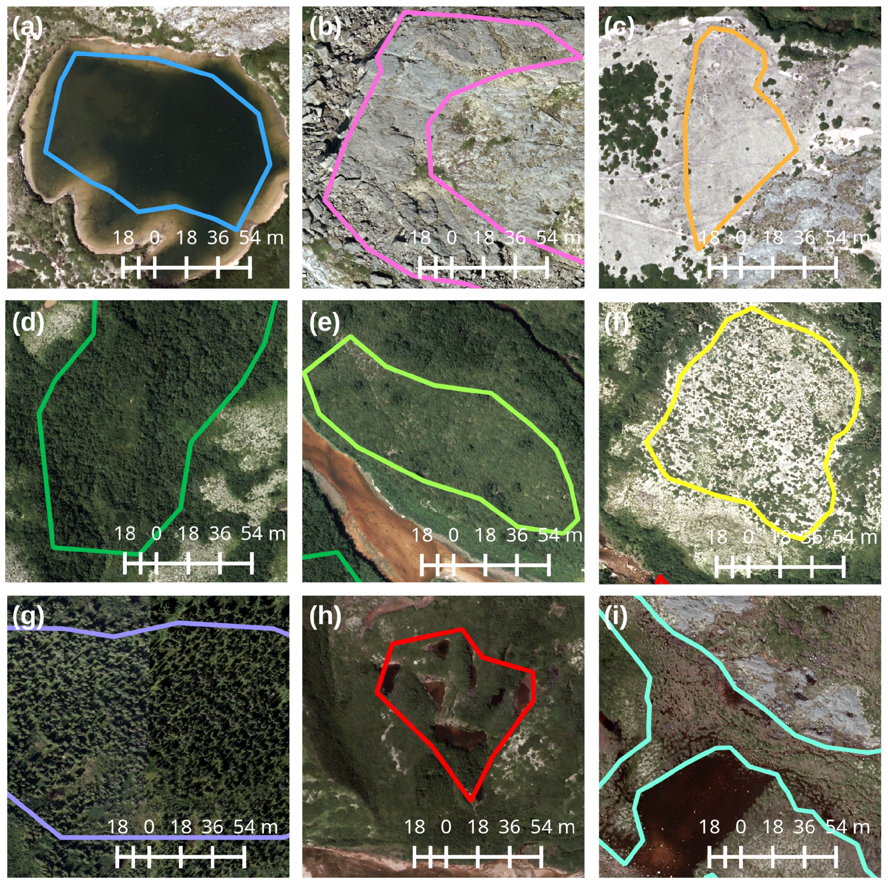 Remotesensing 08 00697 g002