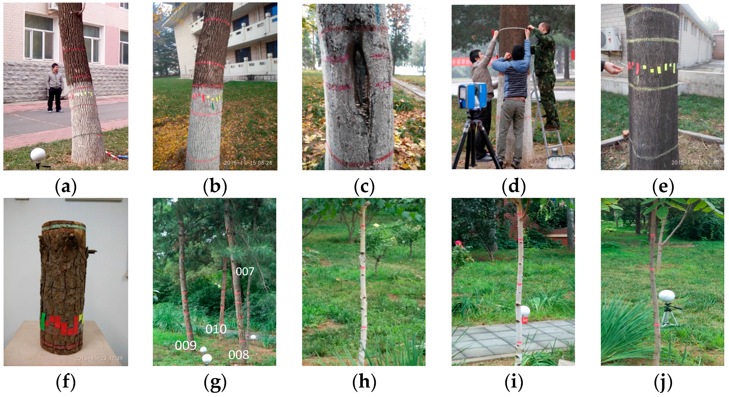 Remotesensing 08 00717 g002 1024