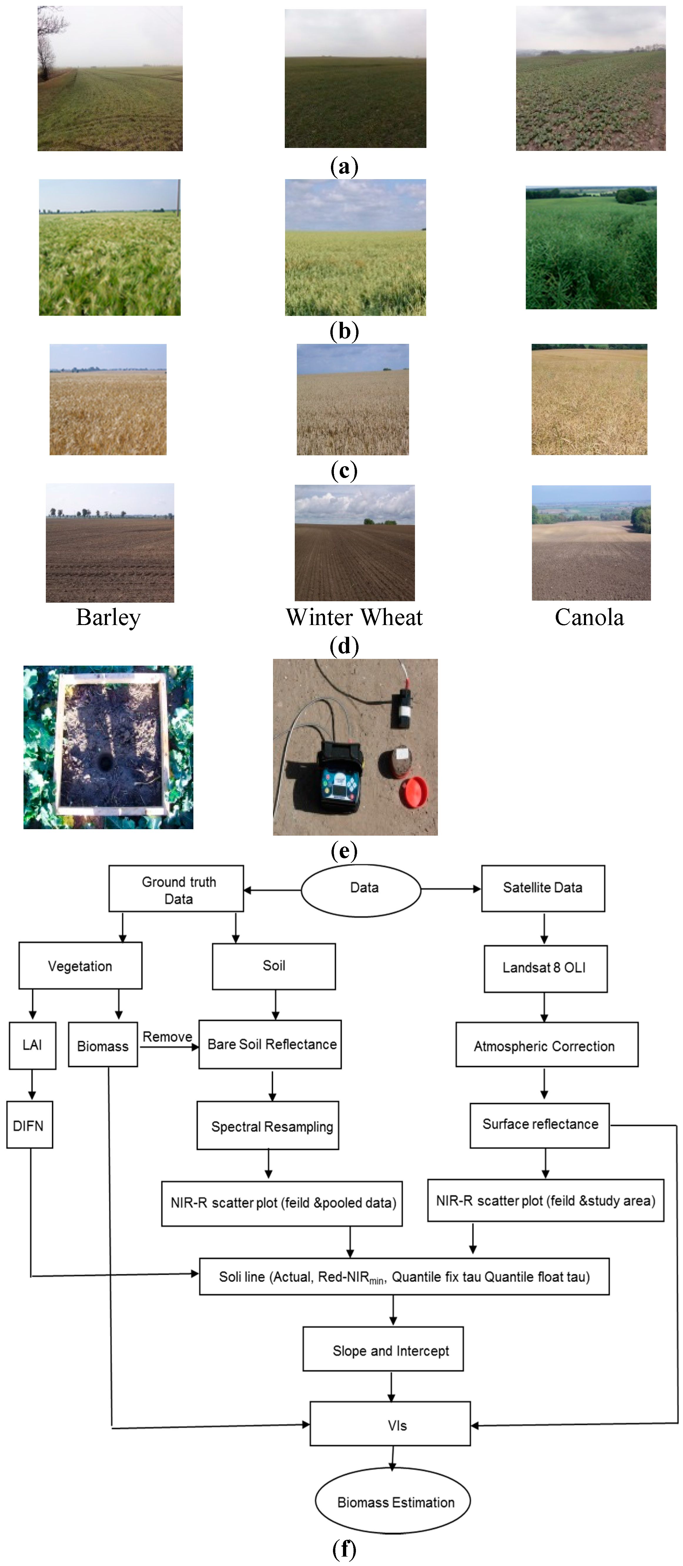 Remotesensing 08 00738 g002