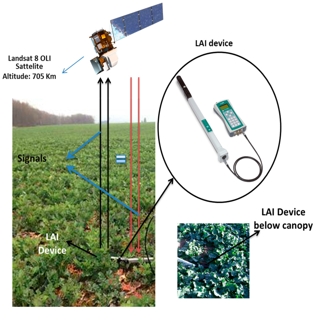 Remote Sensing Special Issue Remote Sensing Applied to Soils From