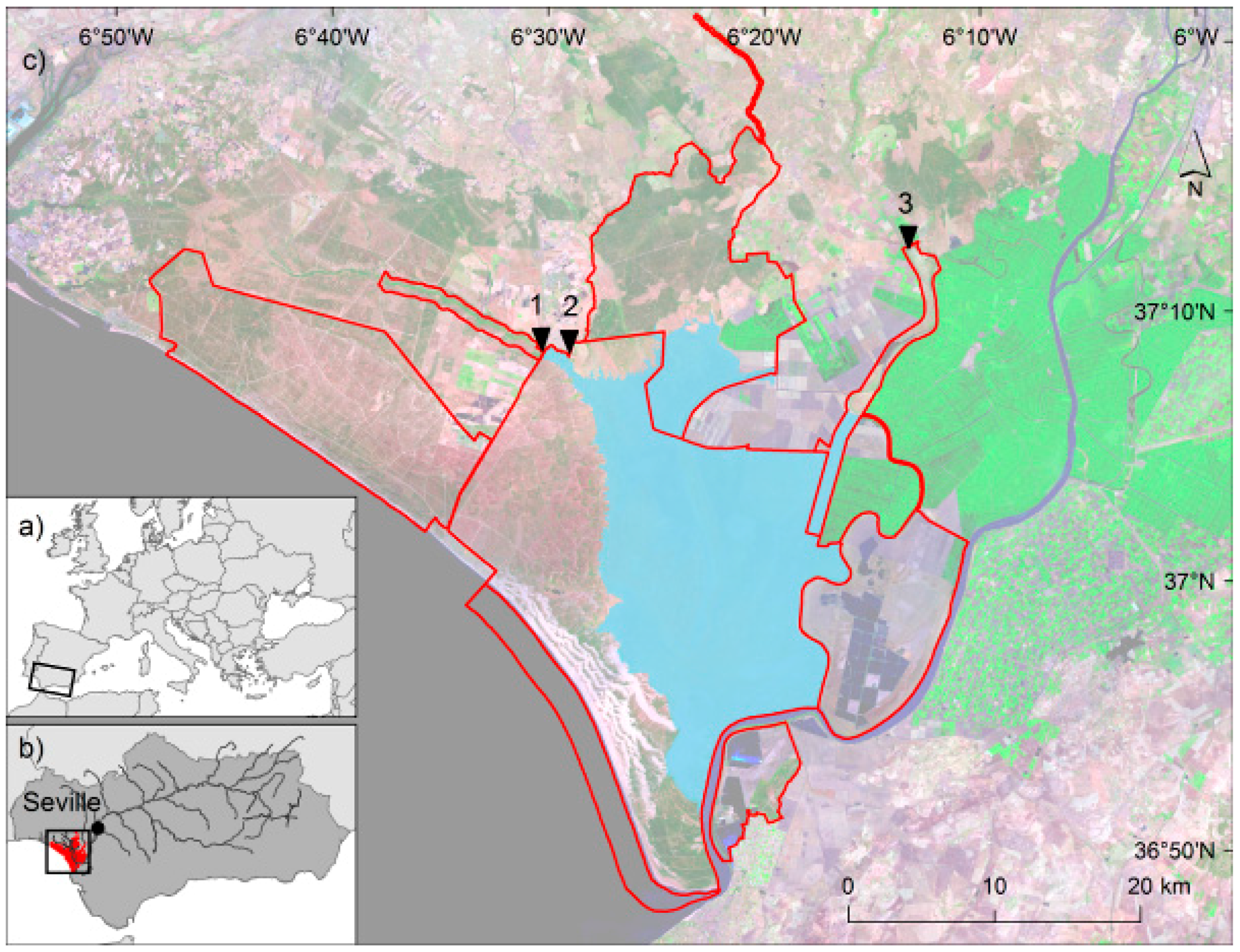 Remotesensing 08 00775 g001
