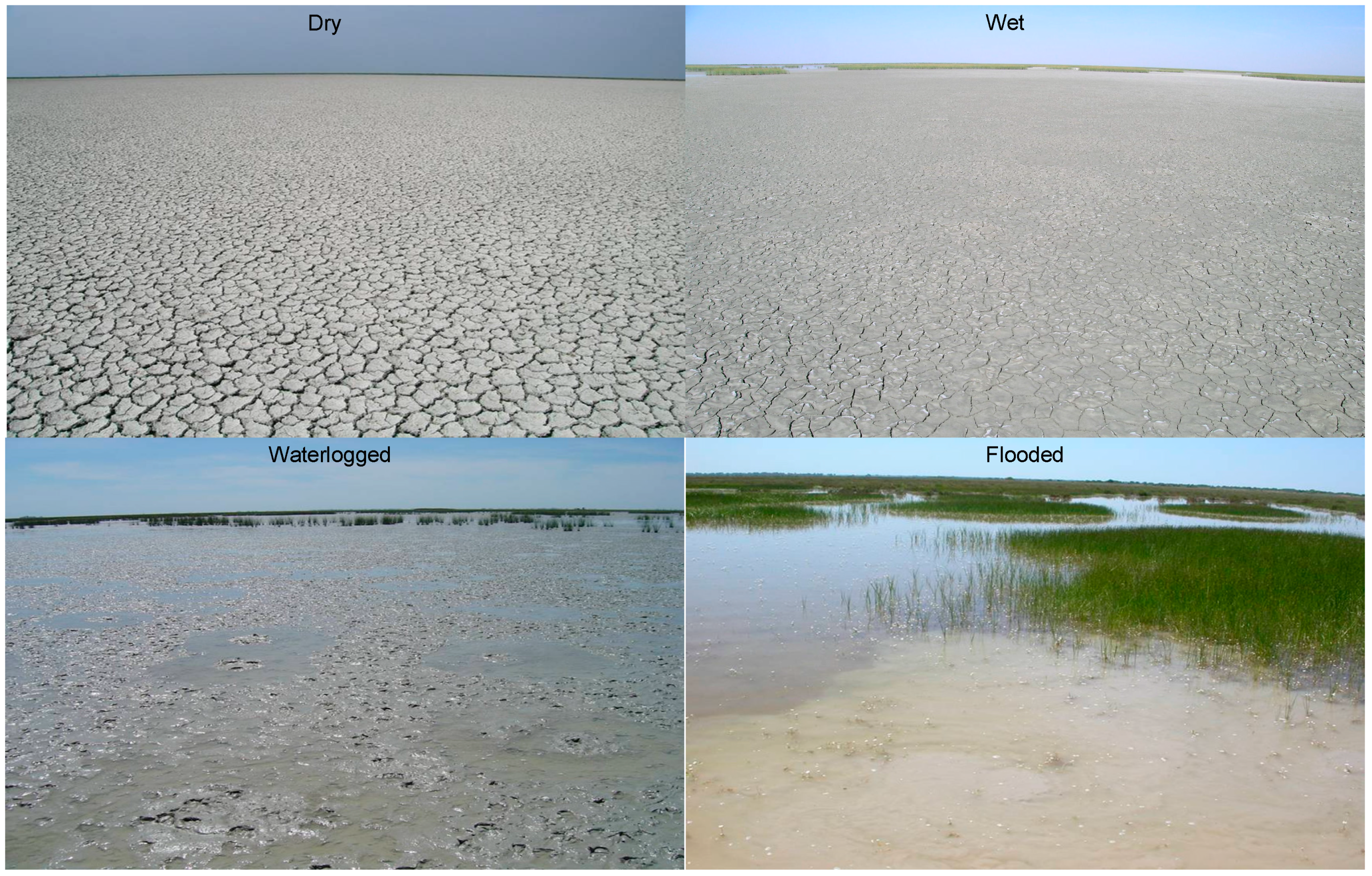 Remotesensing 08 00775 g002