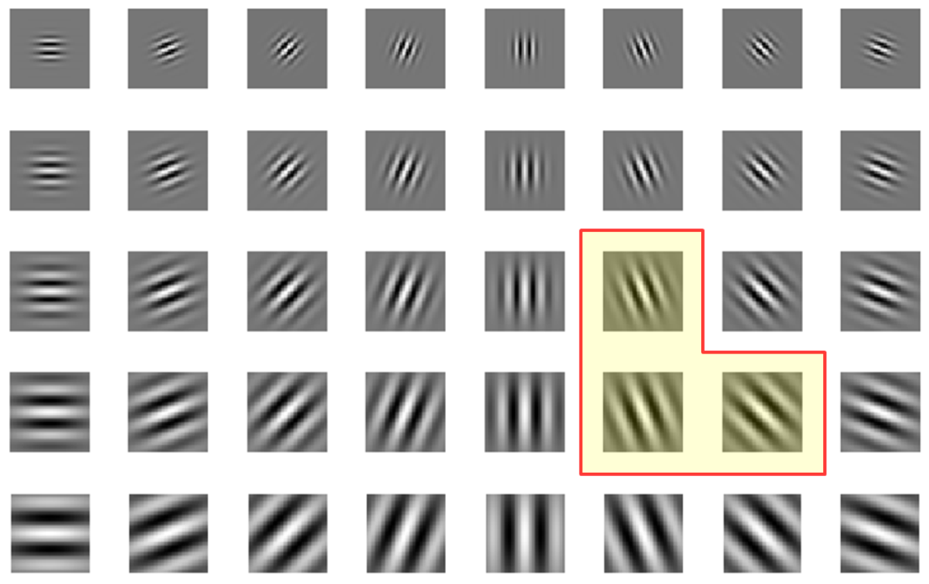 Remotesensing 08 00781 g001