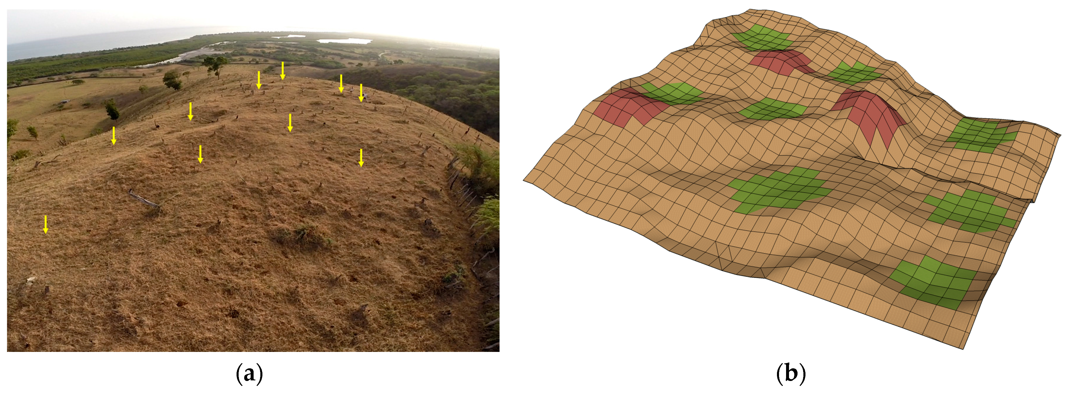 Remotesensing 08 00791 g002
