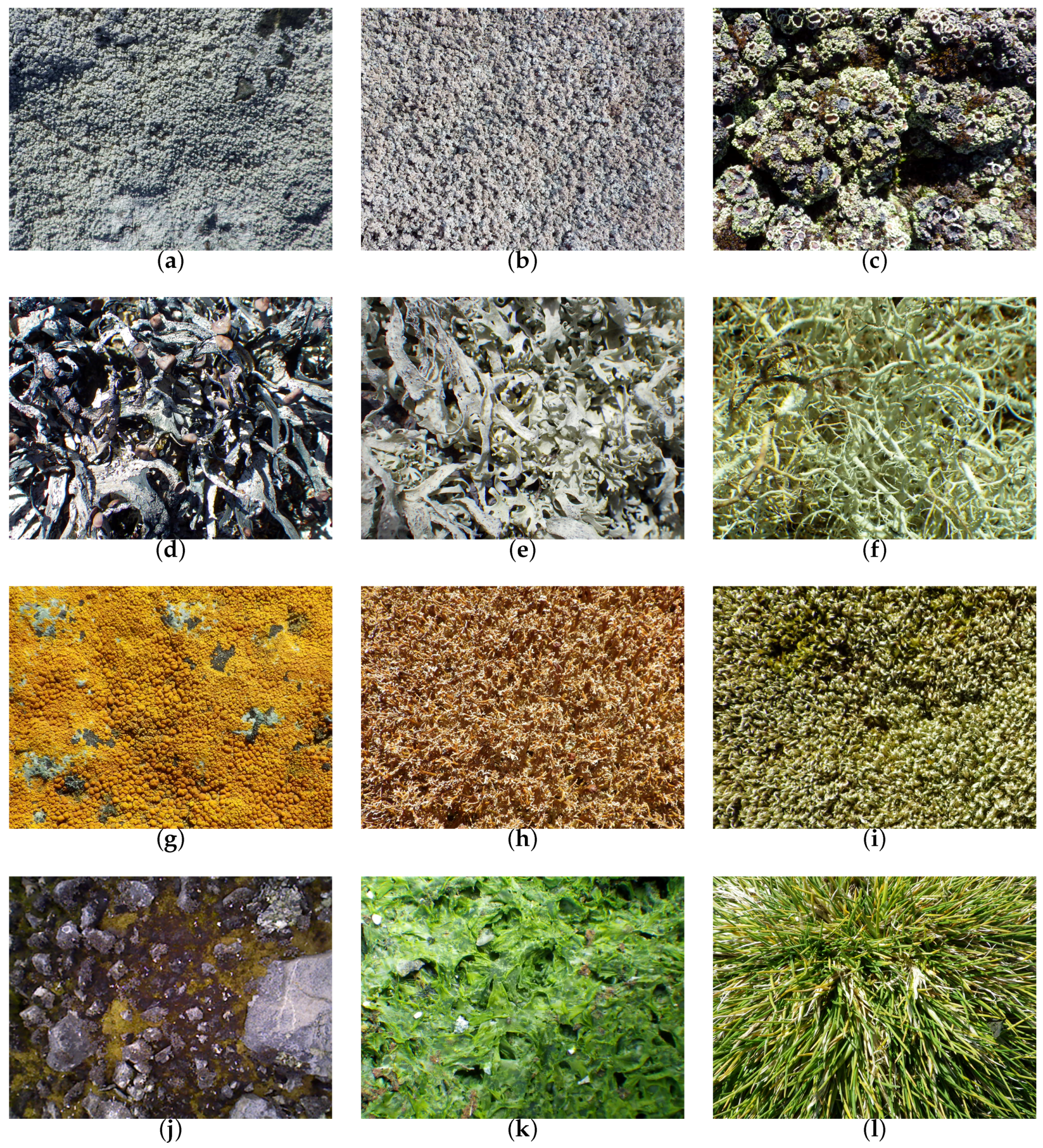 Remotesensing 08 00856 g002
