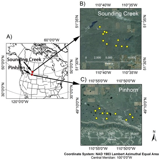Remote Sensing Special Issue Remote Sensing Of