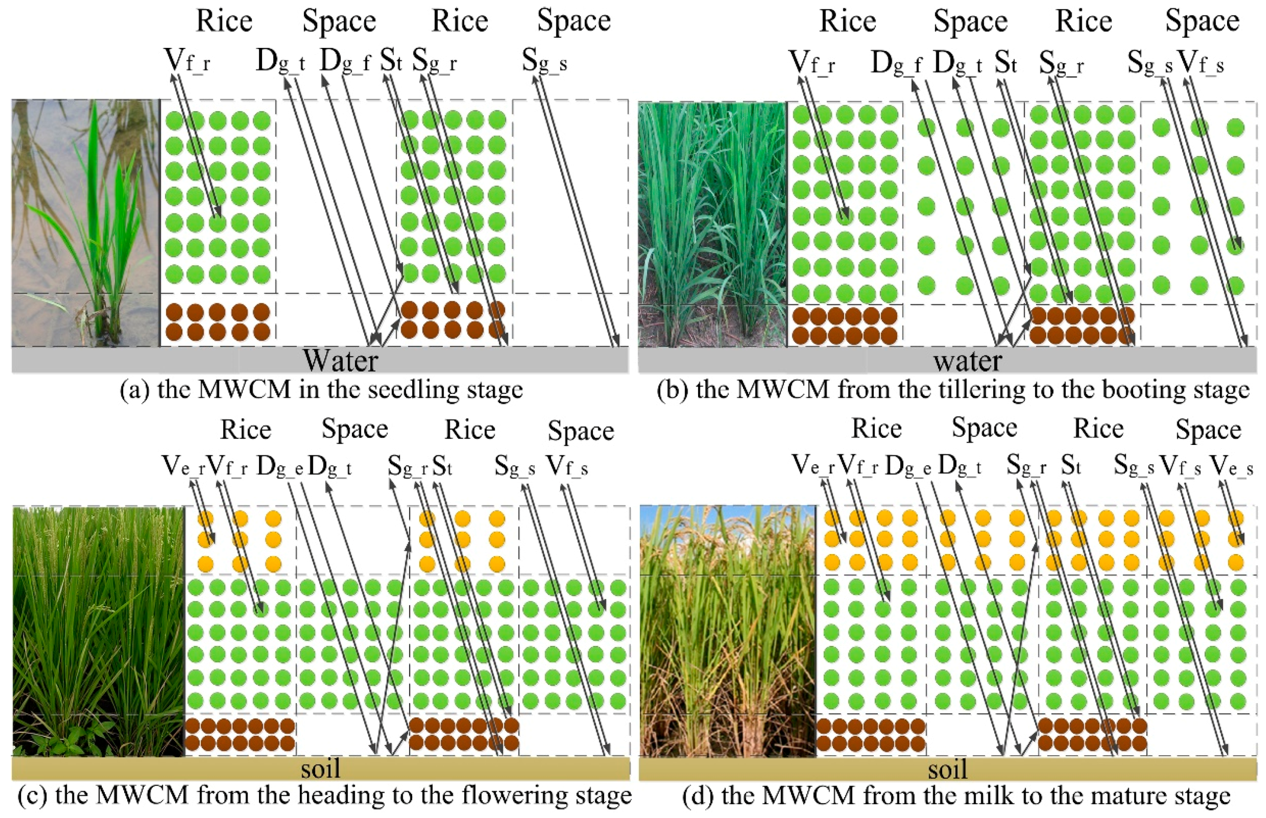Remotesensing 08 00878 g005
