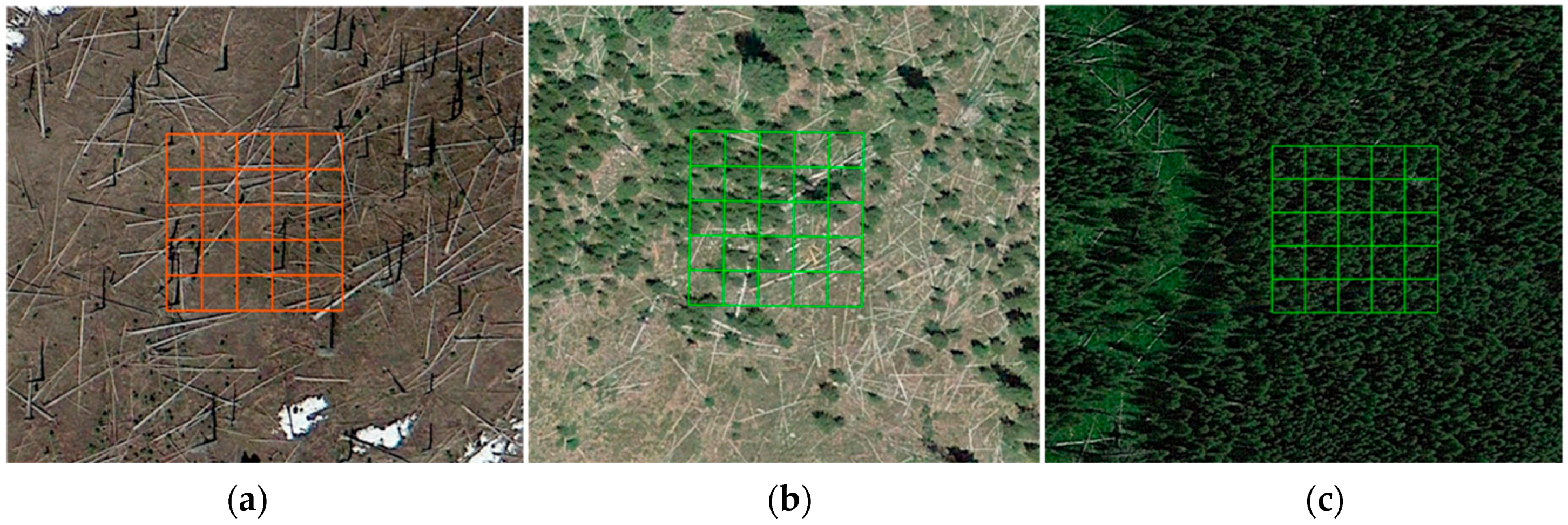 Remotesensing 08 00898 g003