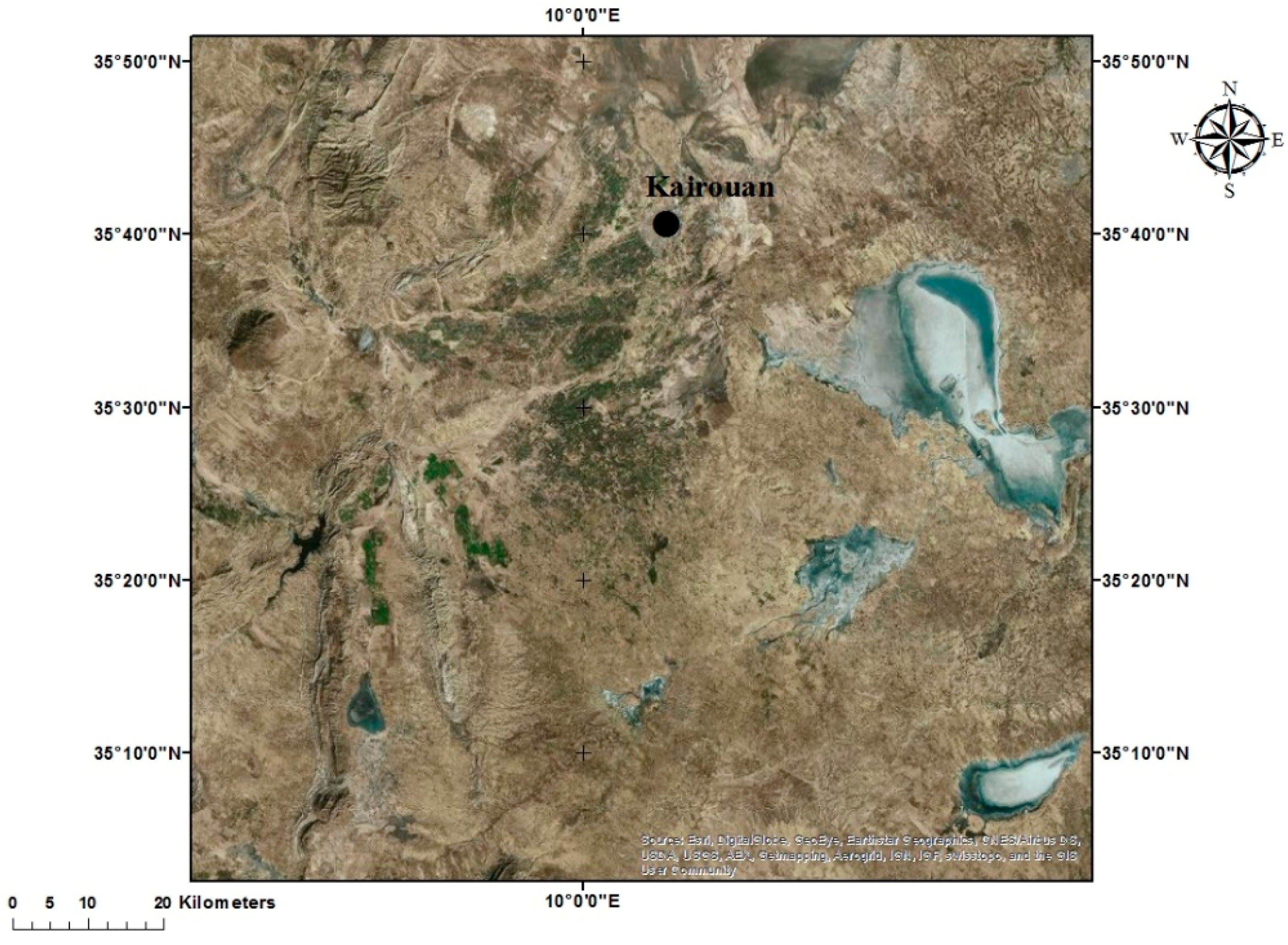 Remotesensing 08 00992 g001