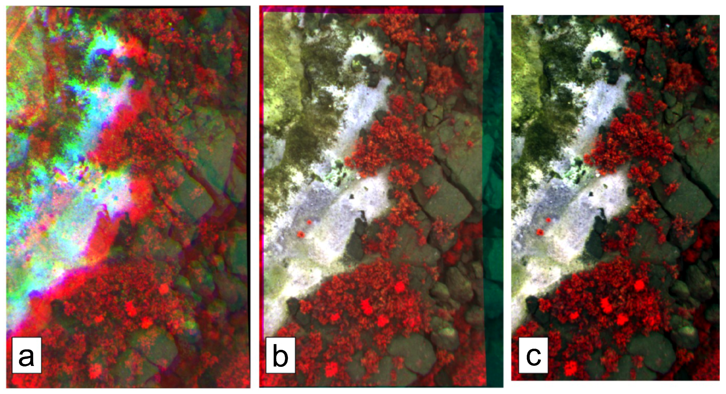 Remotesensing 09 00088 g004