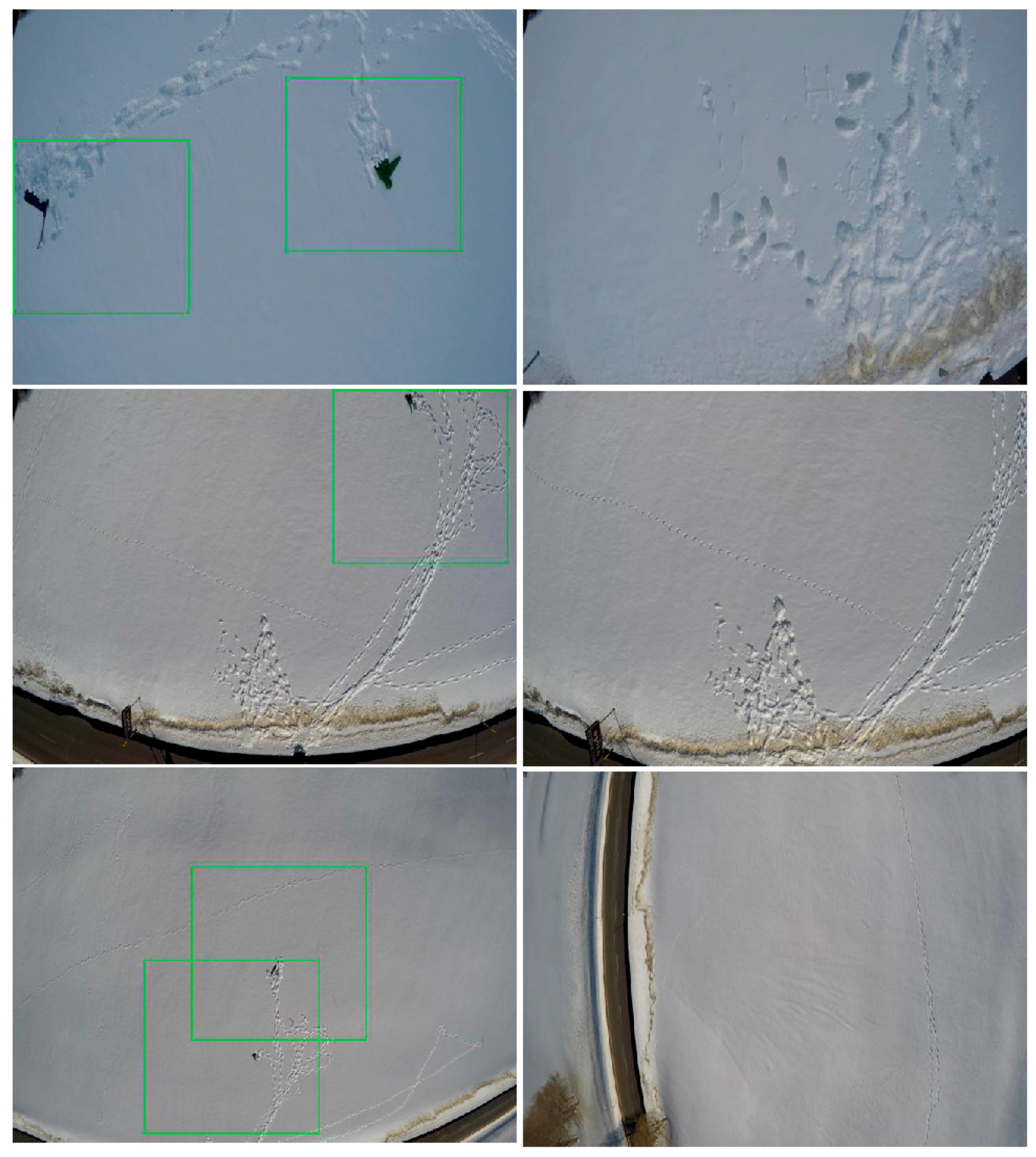 Remotesensing 09 00100 g009