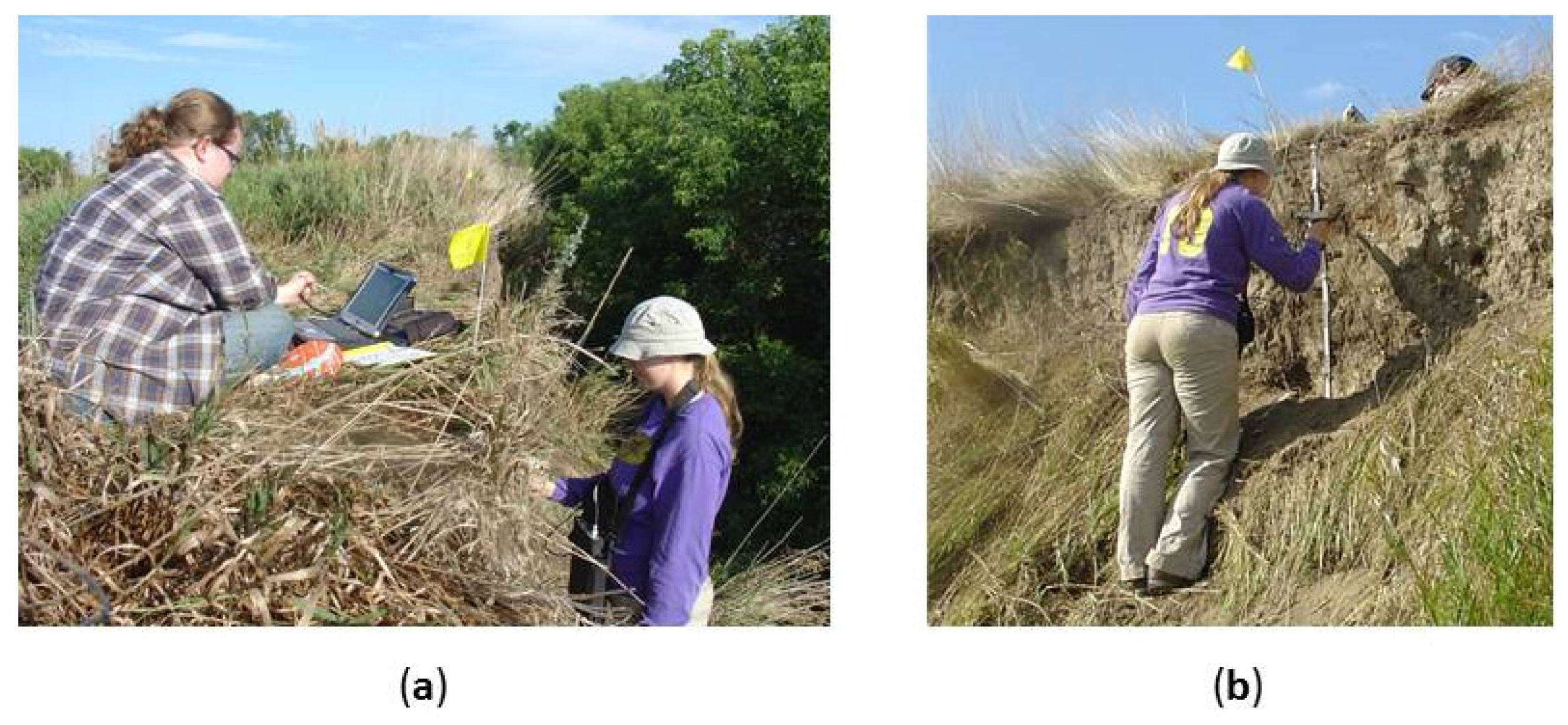 Remotesensing 09 00112 g005 550