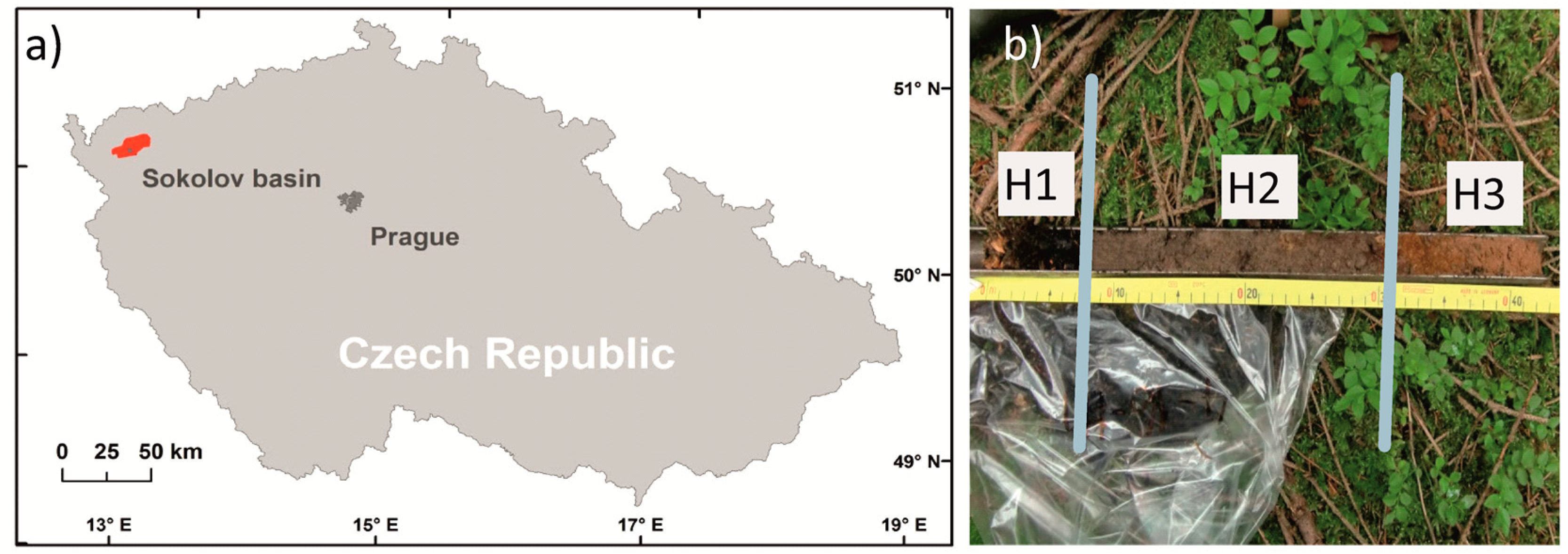 Remotesensing 09 00134 g001 550