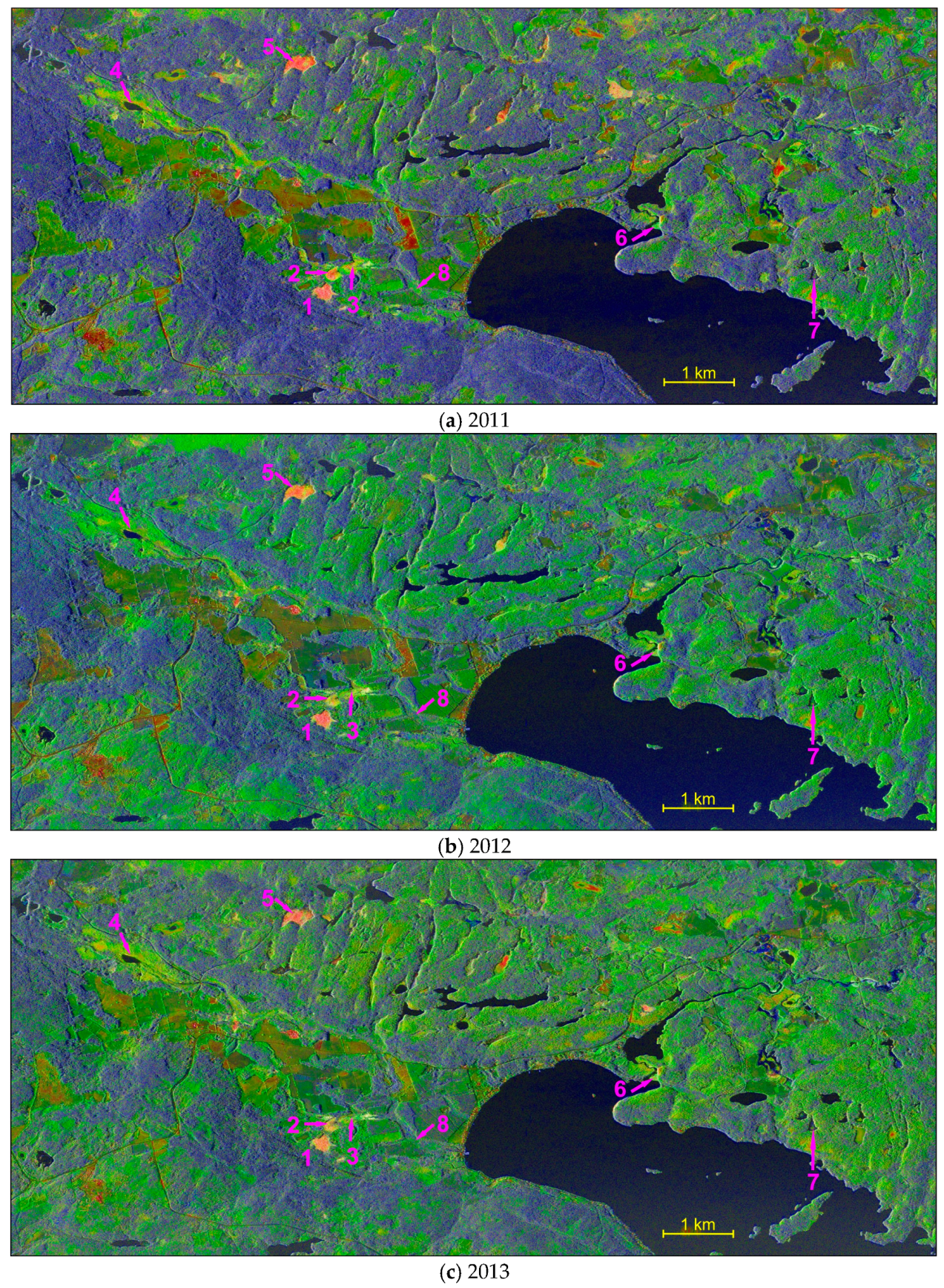 Remotesensing 09 00158 g008