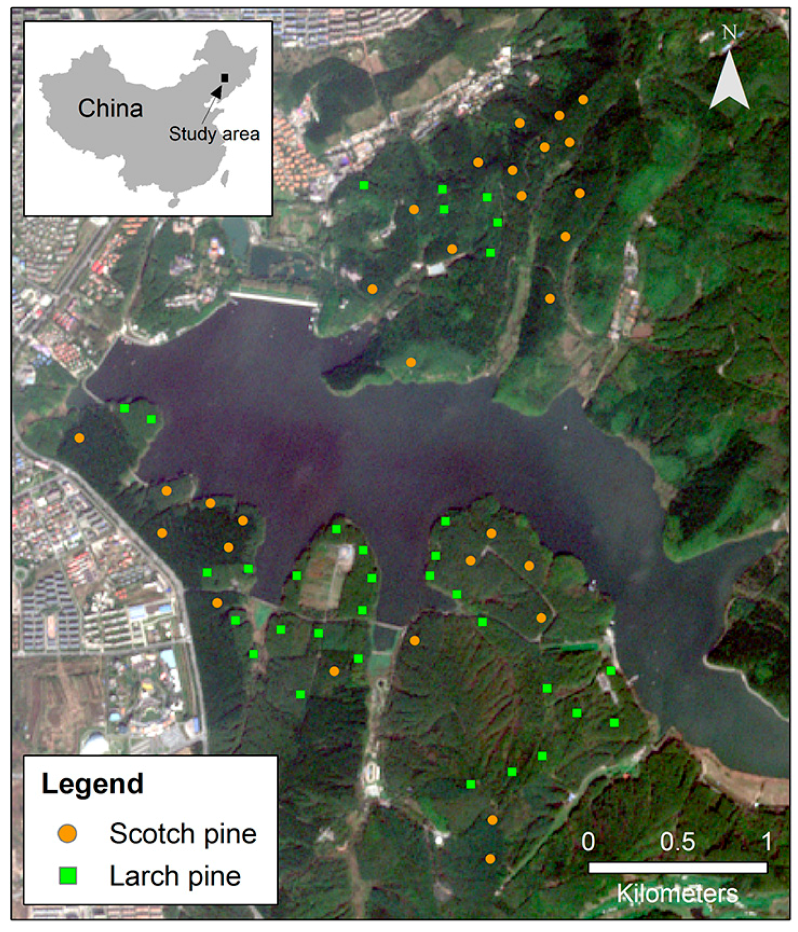 Remotesensing 09 00163 g001
