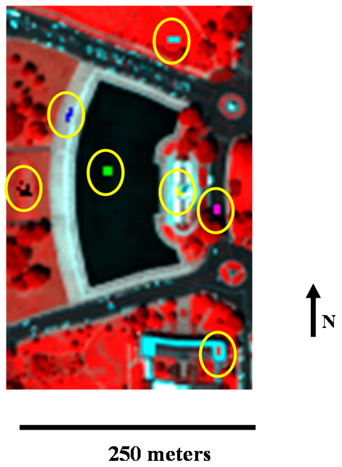 Remotesensing 09 00197 g008 550