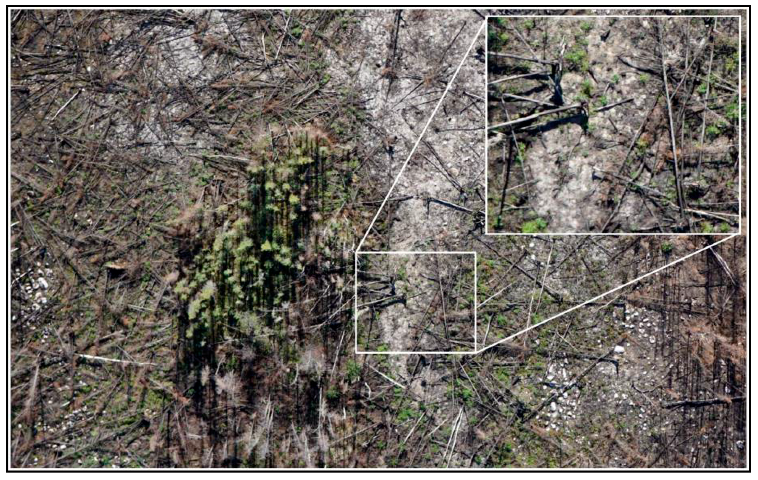 Remotesensing 09 00279 g002