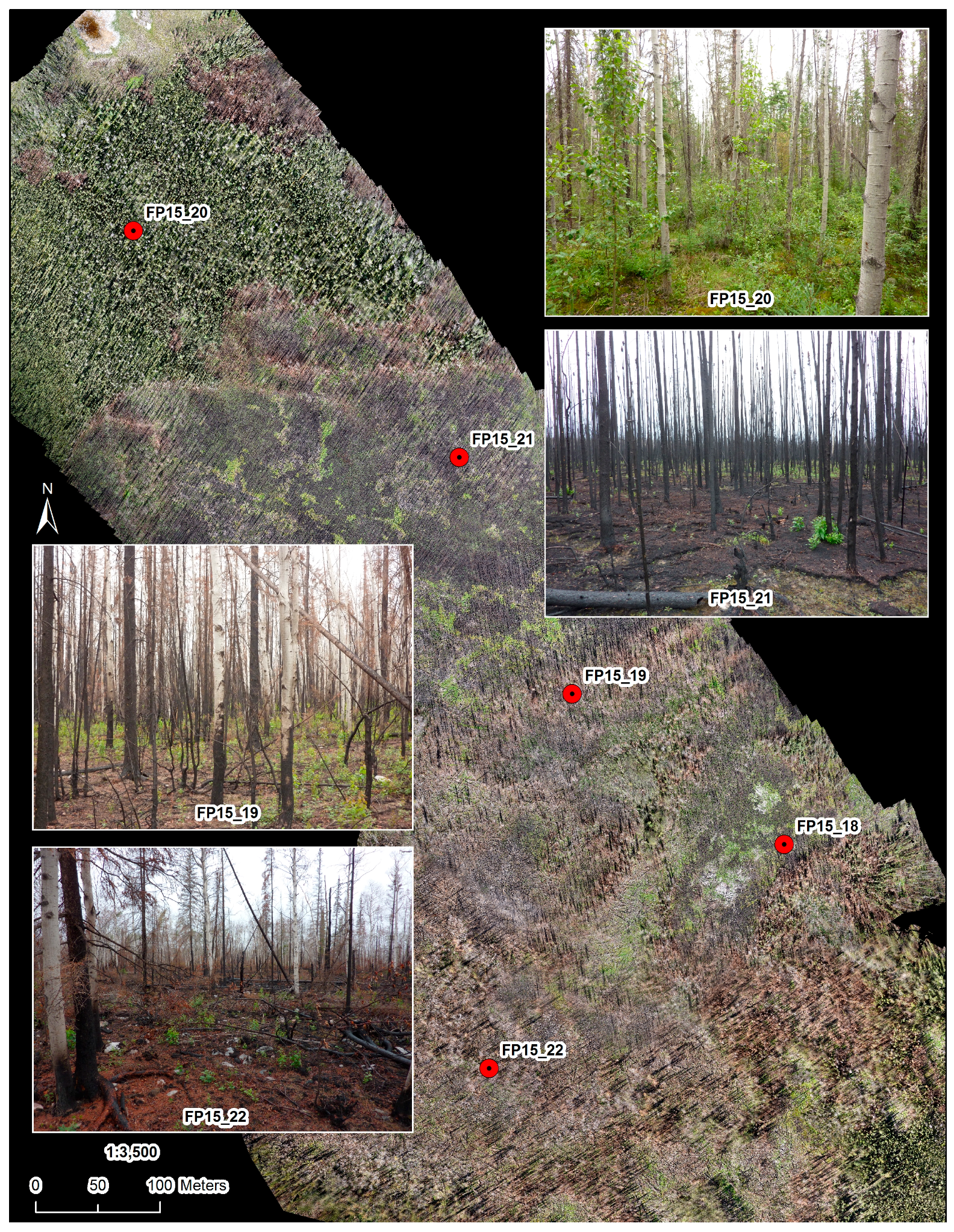 Remotesensing 09 00279 g006