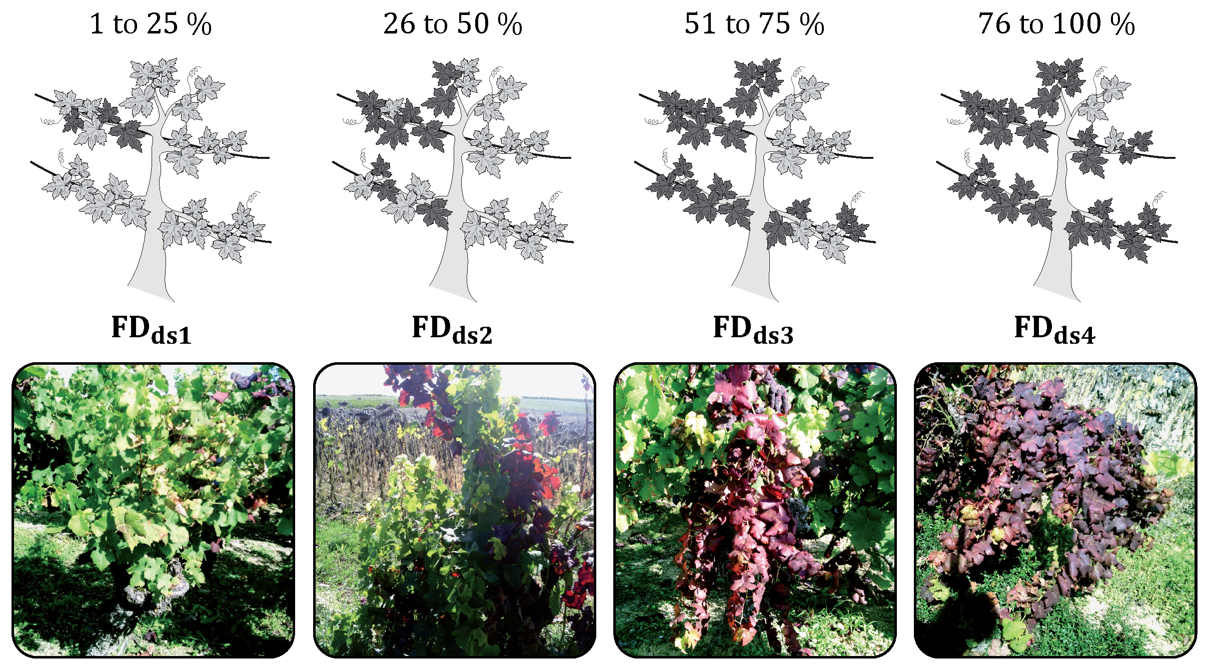 Remotesensing 09 00308 g002 550