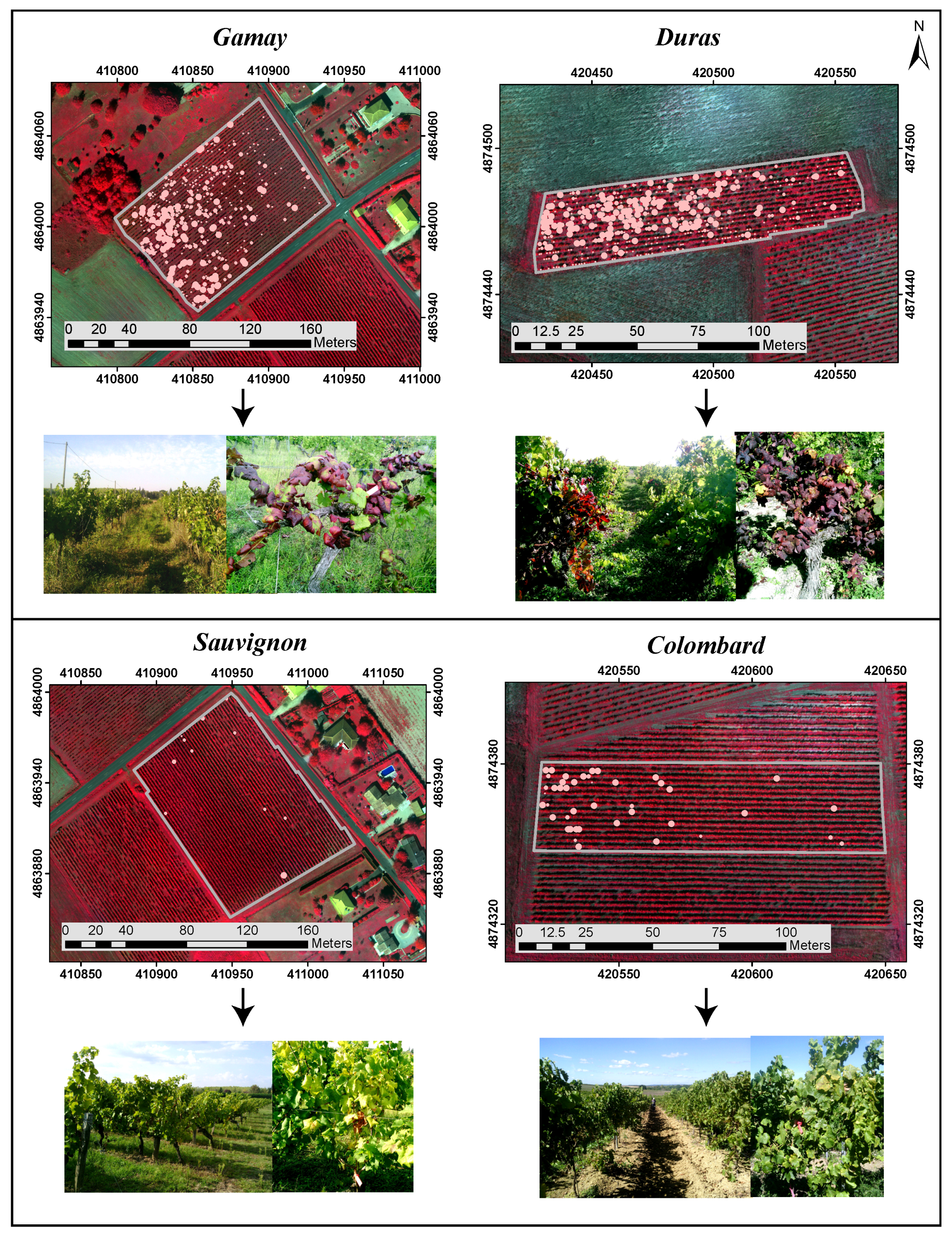 Remotesensing 09 00308 g003 550