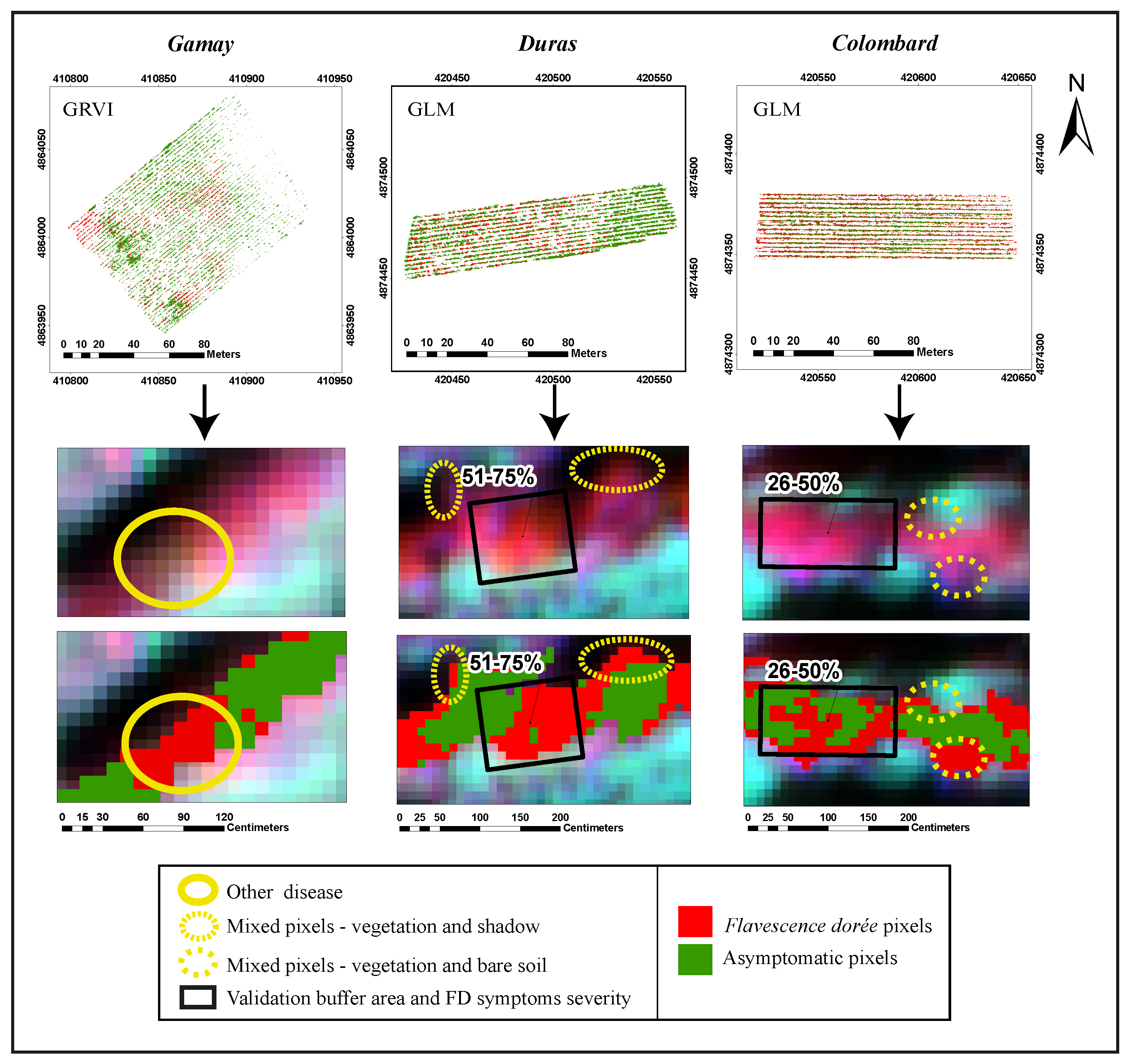 Remote Sensing | Free Full-Text | Detection of Flavescence dorée ...