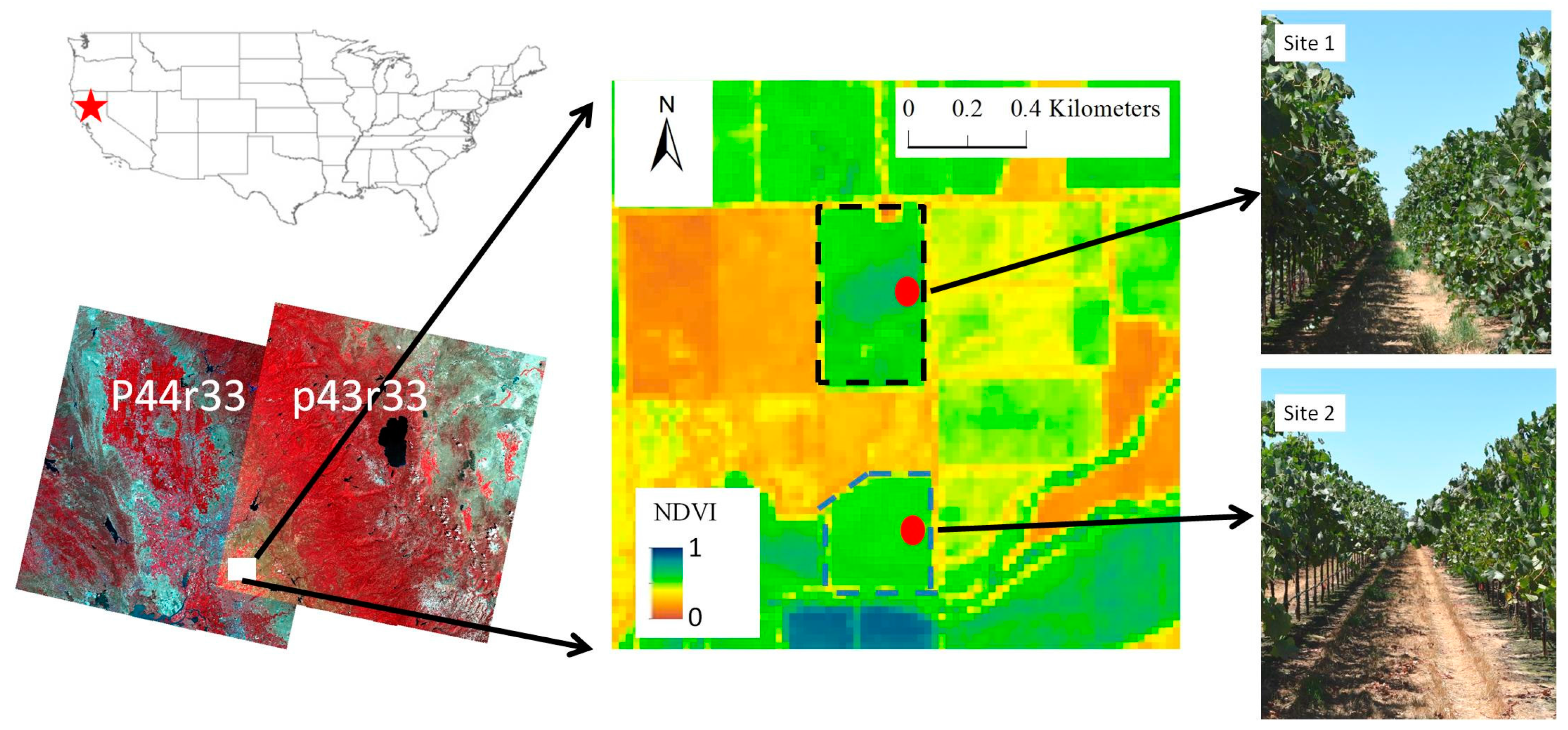 Карта с индексом ndvi
