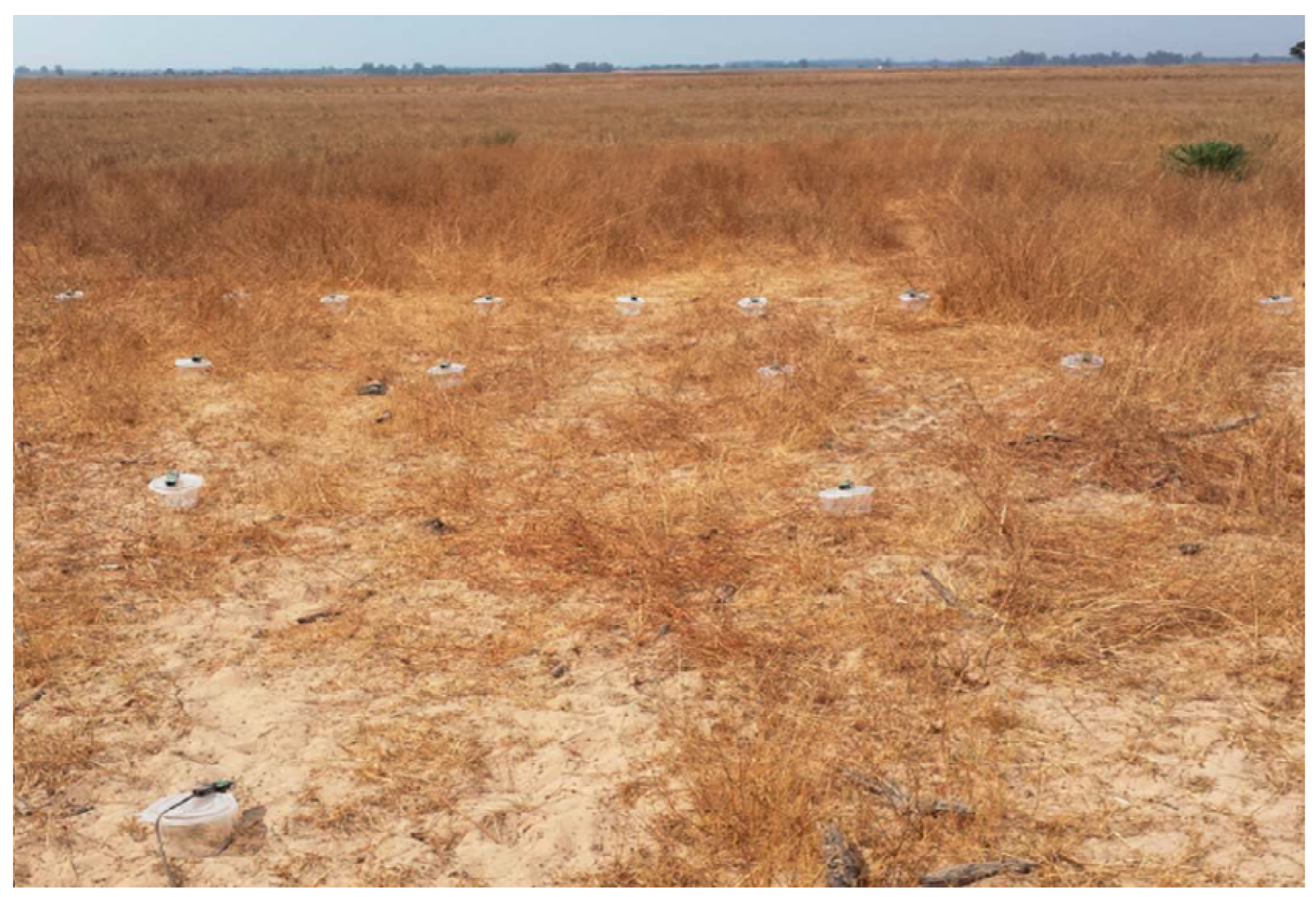 Remotesensing 09 00336 g002 550