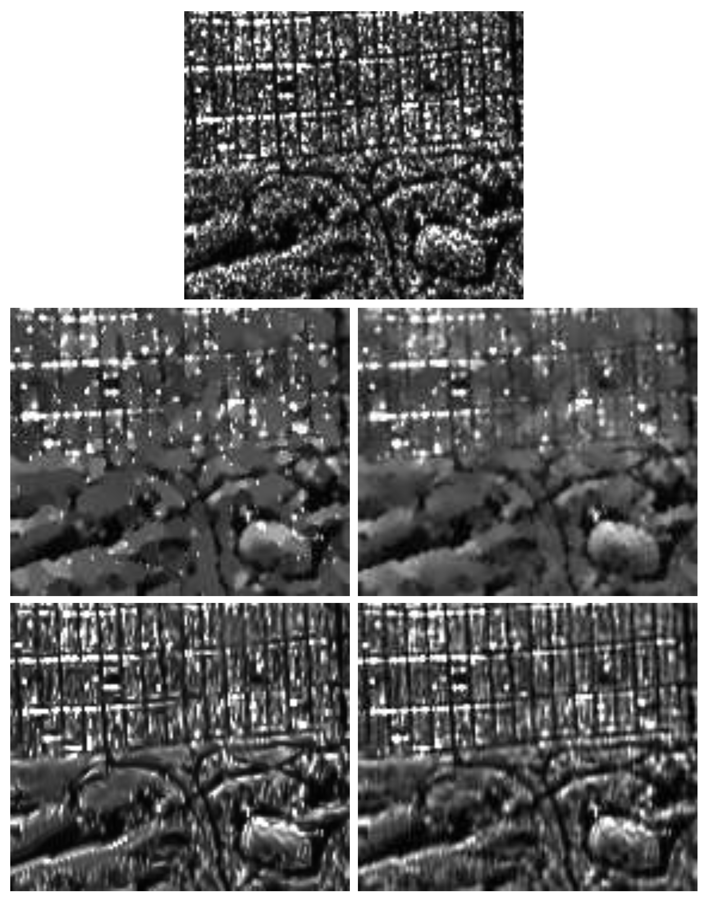 Remotesensing 09 00389 g017