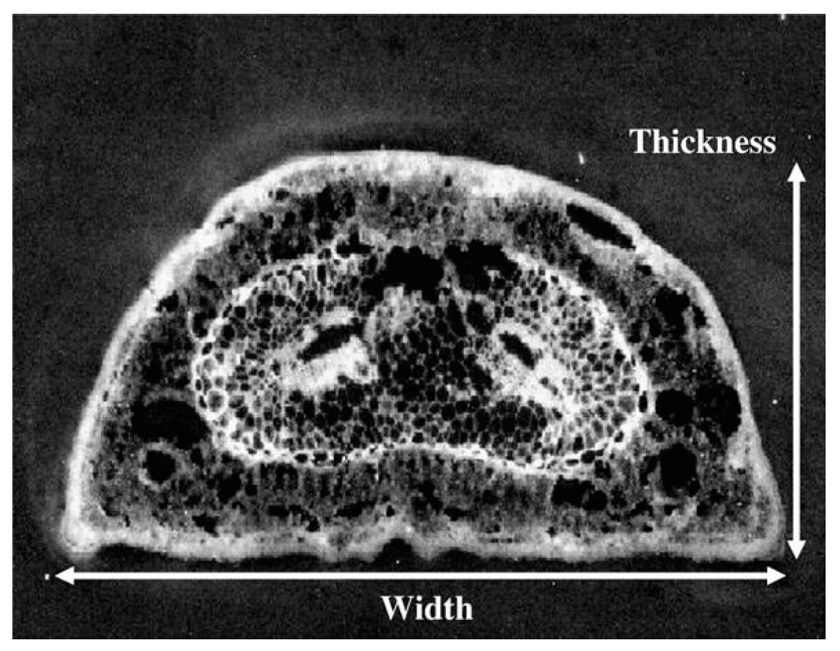 Remotesensing 09 00431 g005