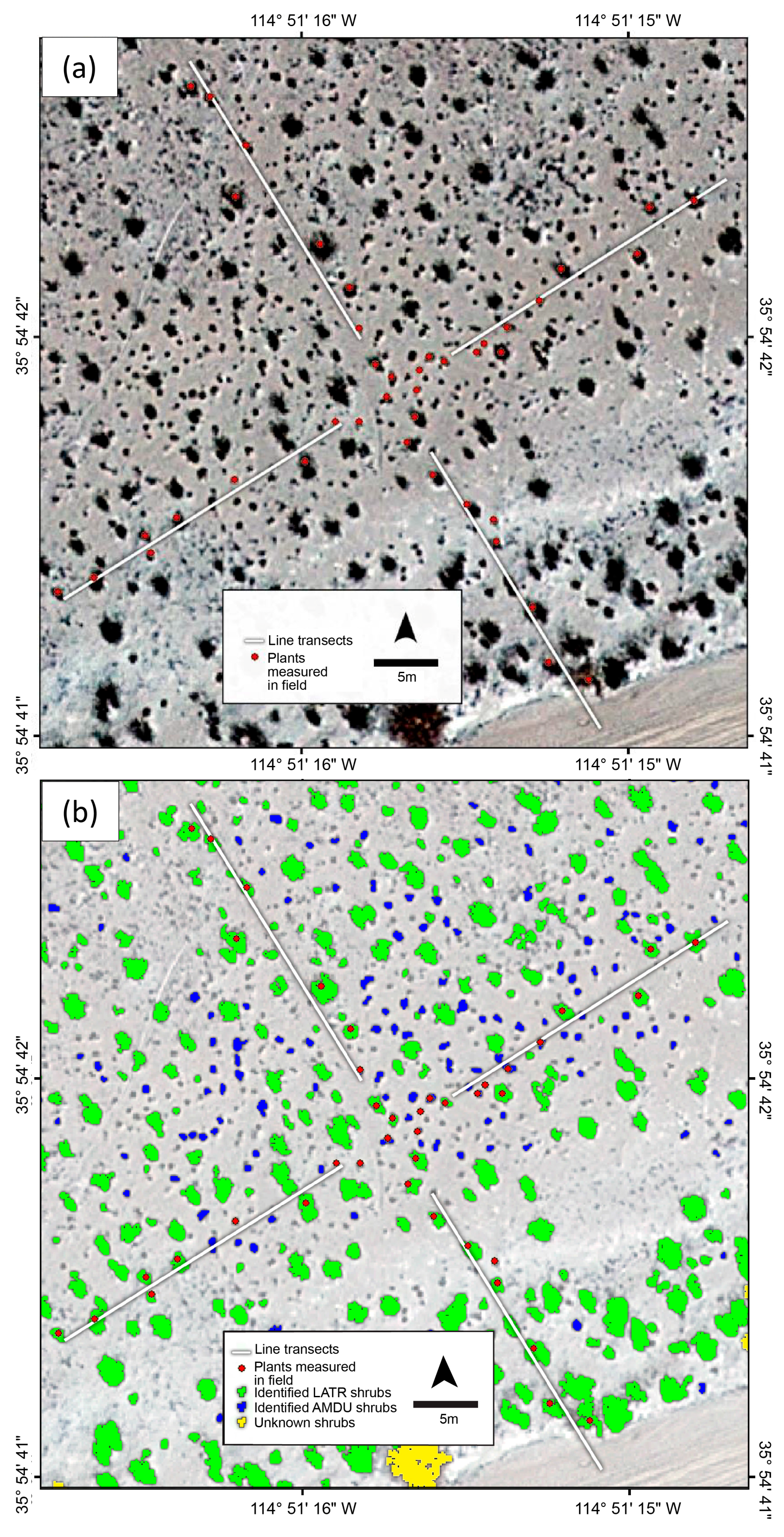 Remotesensing 09 00458 g004