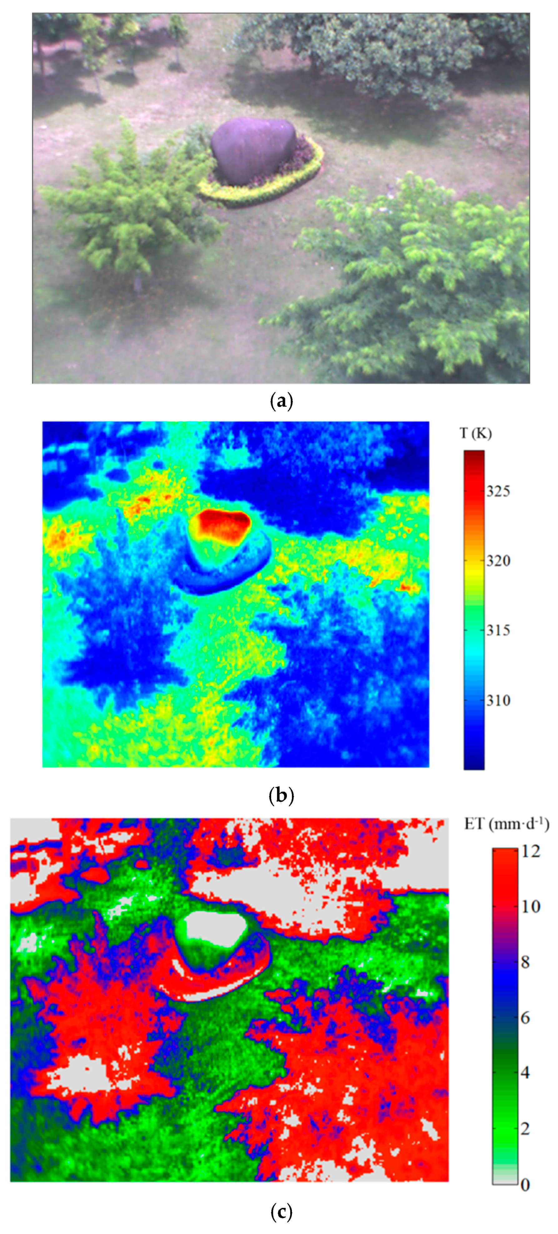 Remotesensing 09 00502 g006