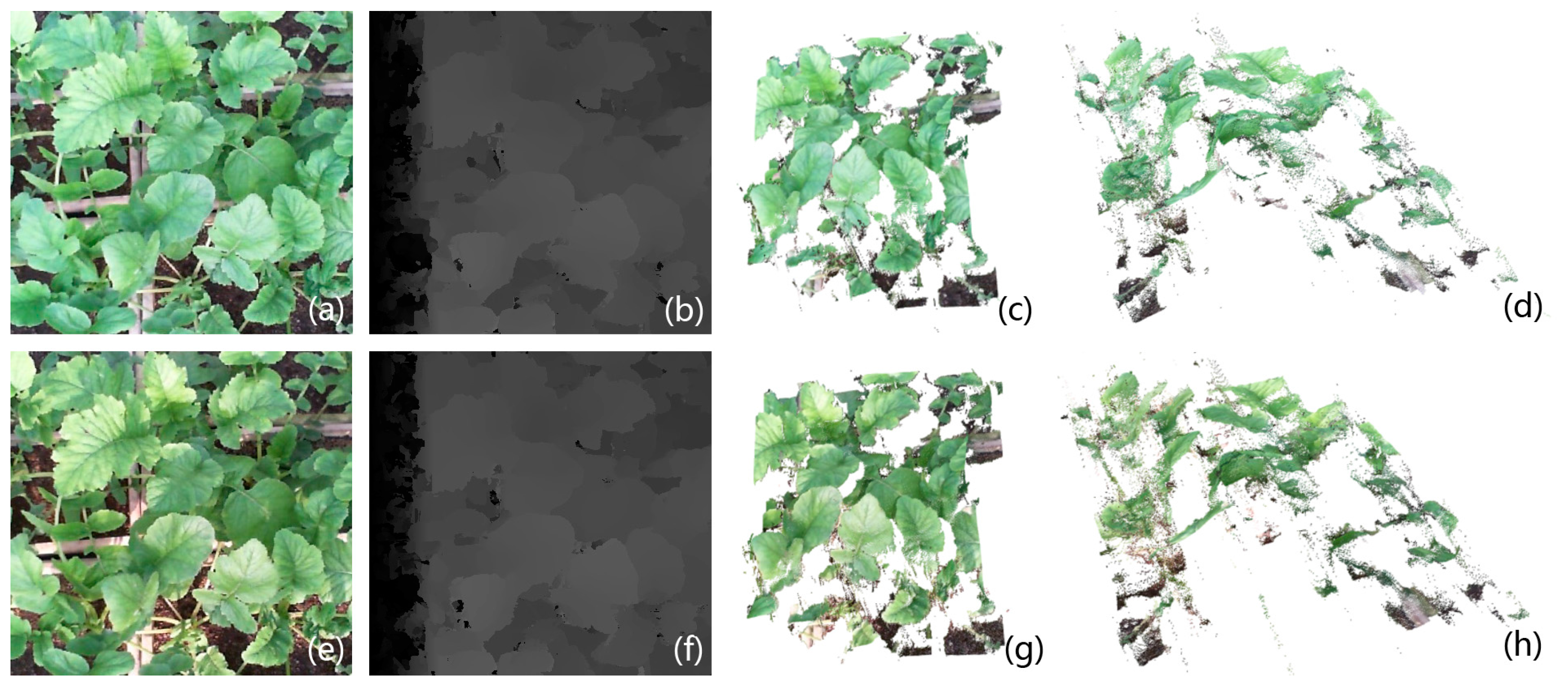 Remotesensing 09 00508 g021