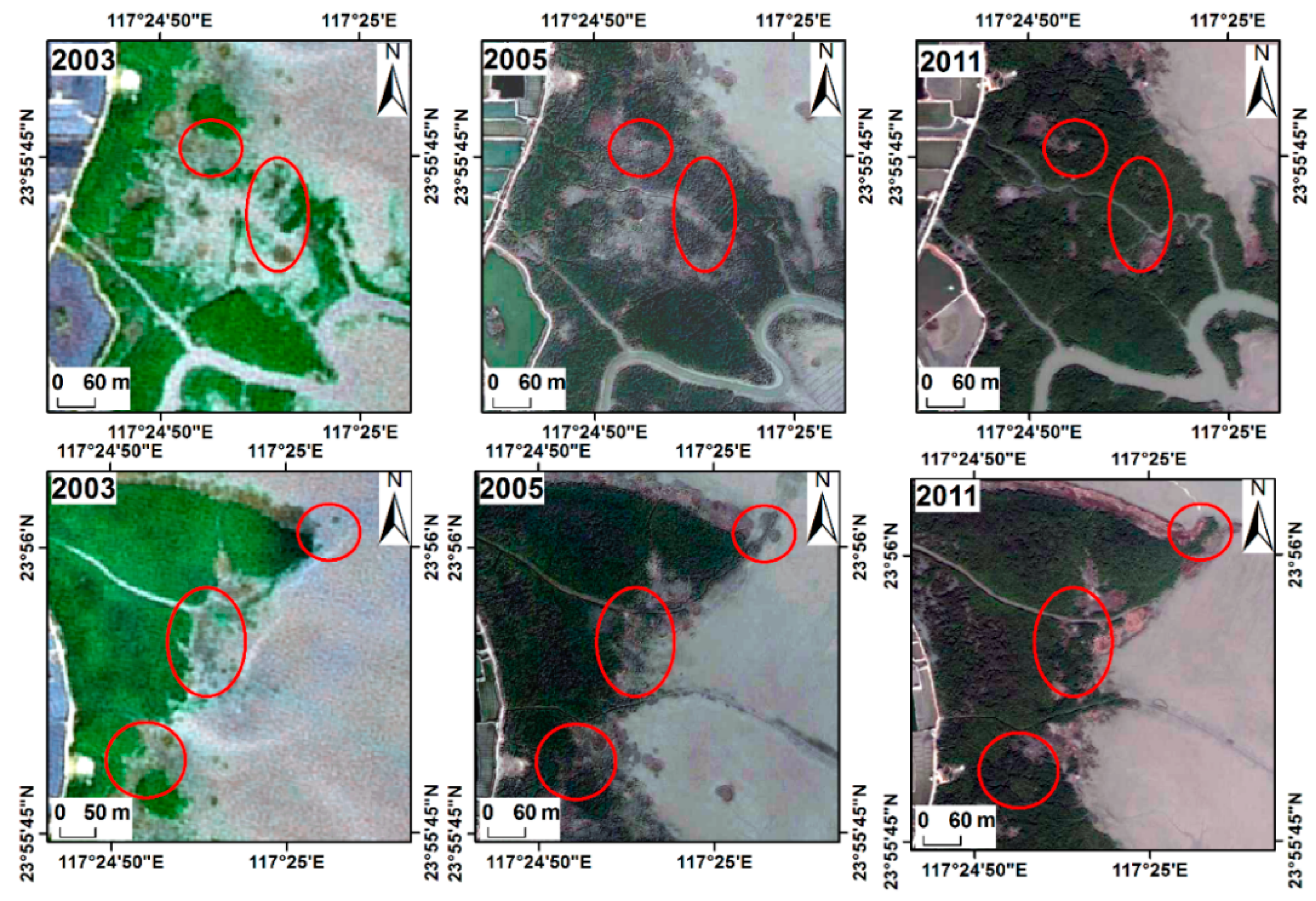 Remotesensing 09 00539 g008