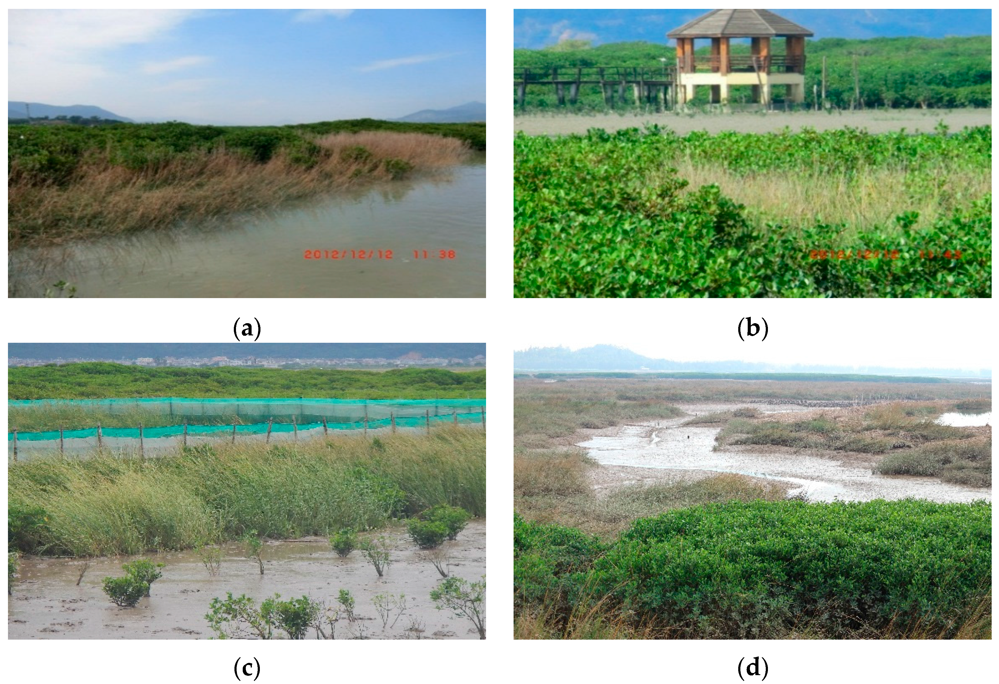 Remotesensing 09 00539 g009