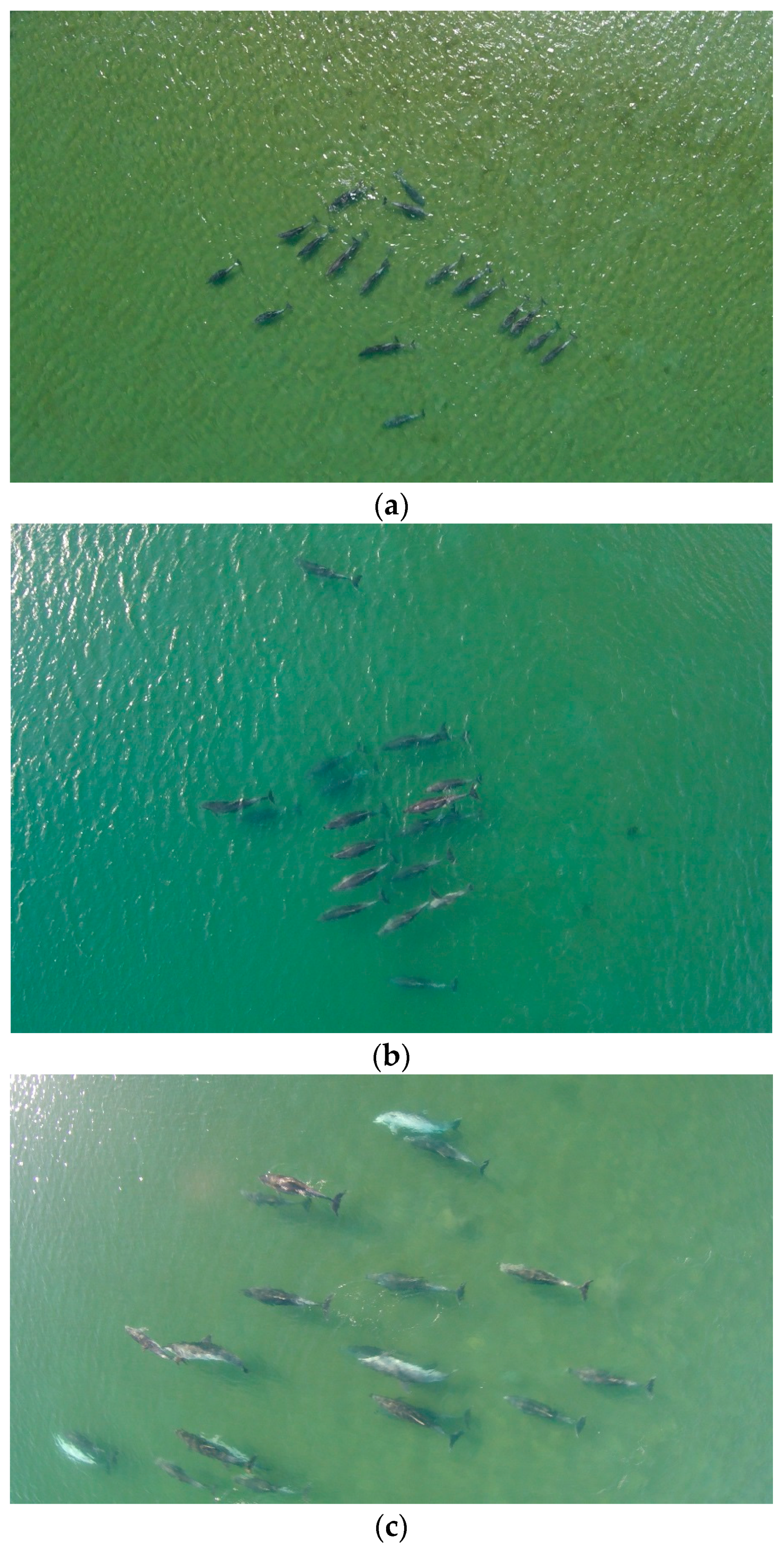 Remotesensing 09 00543 g005