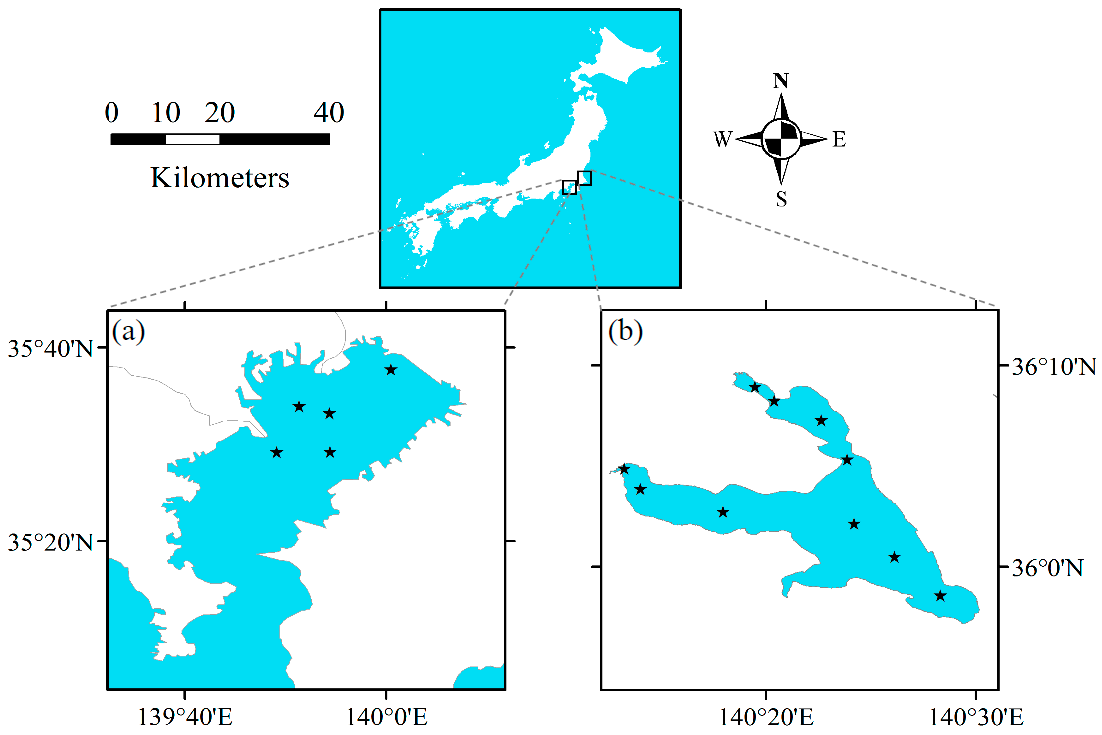 Remotesensing 09 00556 g001