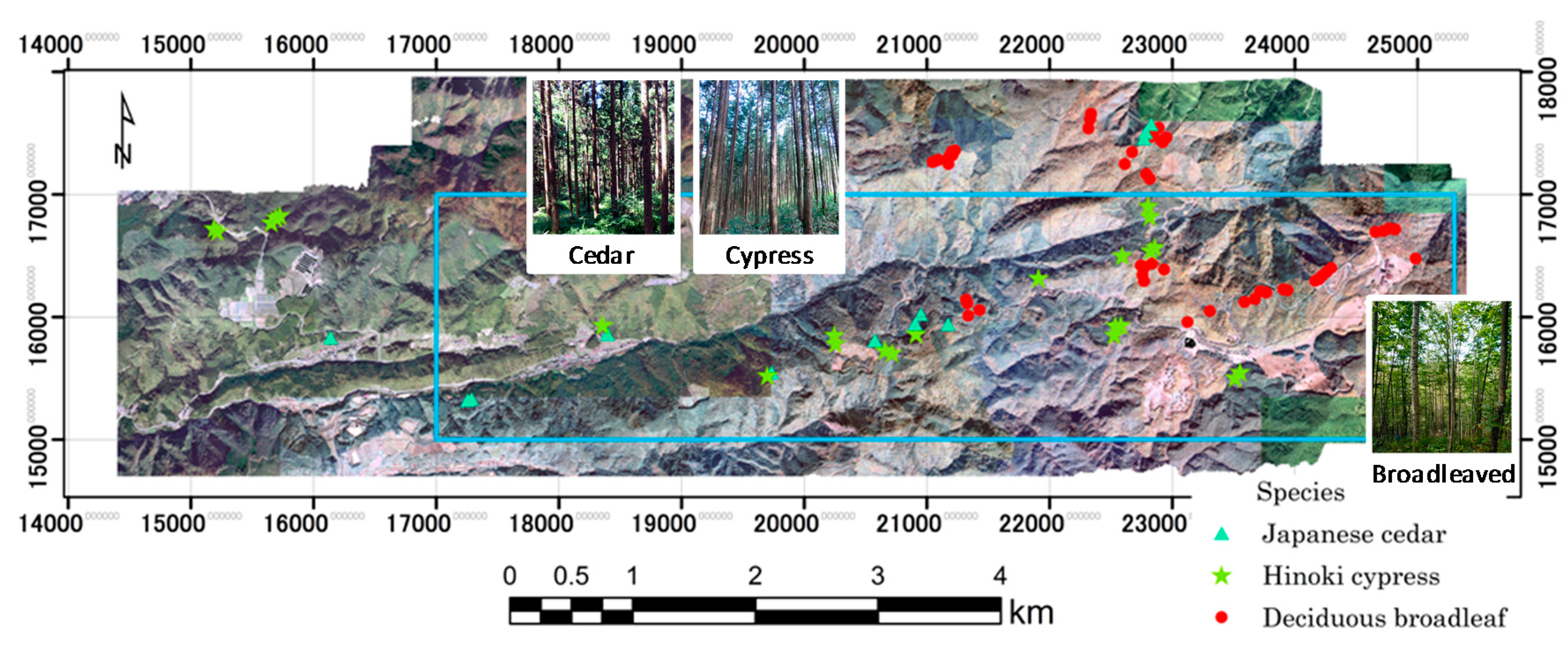 Remotesensing 09 00572 g002