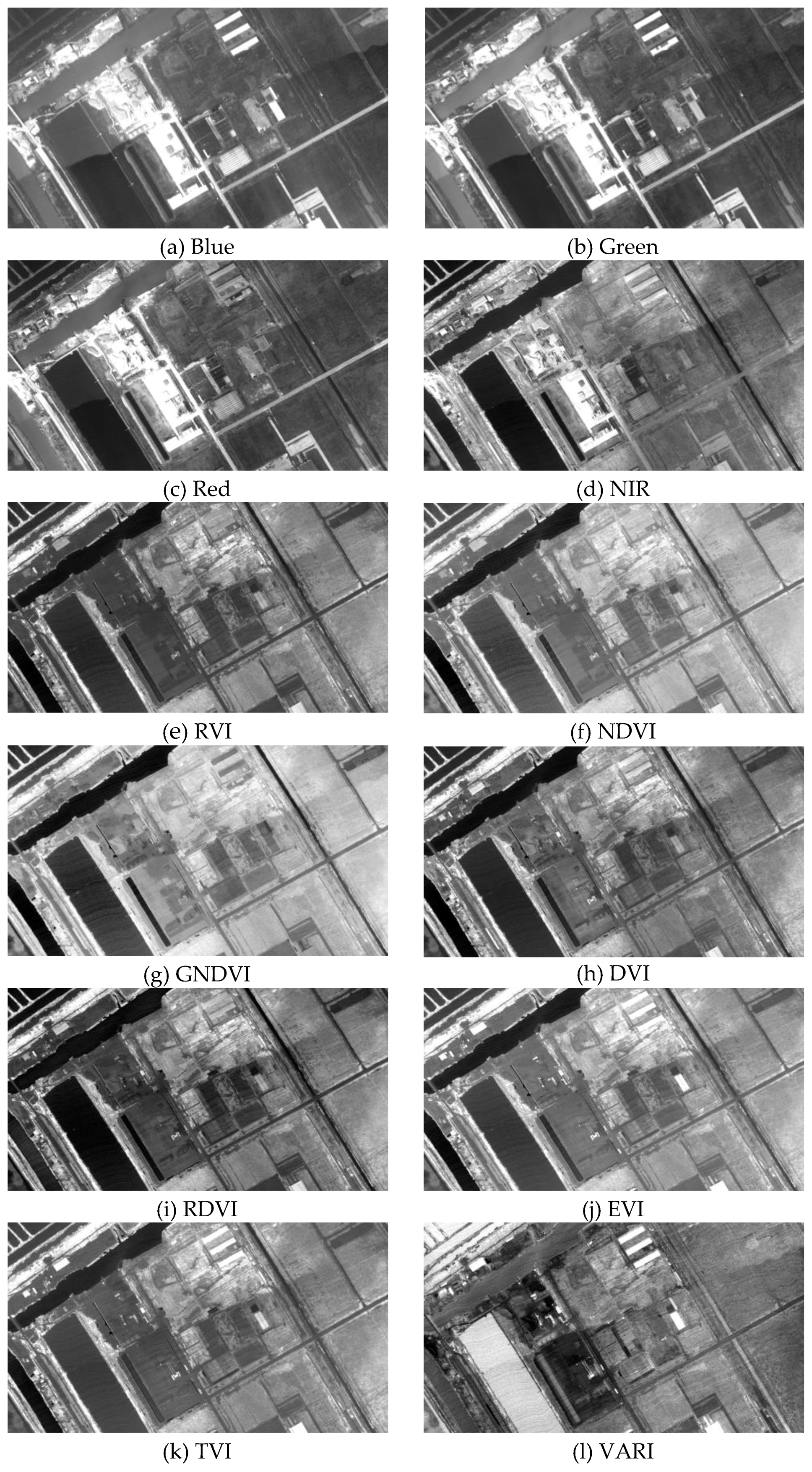 Remotesensing 09 00589 g004a